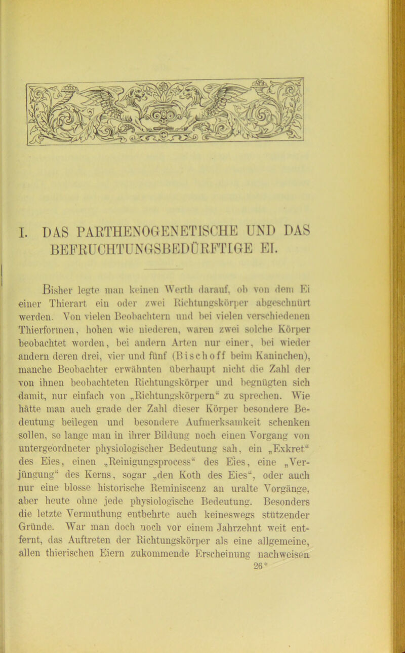 1. DAS PARTHENOQENETISCHE UND DAS BEFRÜCHTÜNGSBEDORFTIGE El. Bisher legte man keinen Werth darauf, oh von dem Ei einer Thierart ein oder zwei Richtungskörper abgeschnürt werden. Von vielen Beobachtern und hei vielen verschiedenen Thierformen, hohen wie niederen, waren zwei solche Körper beobachtet worden, hei andern Arten nur einer, bei wieder andern deren drei, vier und fünf (Bisch off heim Kaninchen), manche Beobachter erwähnten überhaupt nicht die Zahl der von ihnen beobachteten Richtungskörper und begnügten sich damit, nur einfach von „Richtungskörpern“ zu sprechen. Wie hätte man auch grade der Zahl dieser Körper besondere Be- deutung beilegen und besondere Aufmerksamkeit schenken sollen, so lange man in ihrer Bildung noch einen Vorgang von untergeordneter physiologischer Bedeutung sah. ein „Exkret“ des Eies, einen „Reinigungsprocess“ des Eies, eine „Ver- jüngung“ des Kerns, sogar „den Koth des Eies“, oder auch nur eine blosse historische Reminiscenz an uralte Vorgänge, aber heute ohne jede physiologische Bedeutung. Besonders die letzte Vermuthung entbehrte auch keineswegs stützender Gründe. War man doch noch vor einem Jahrzehnt weit ent- fernt, das Auftreten der Richtungskörper als eine allgemeine, allen thierischen Eiern zukommende Erscheinung nachweisen  26*