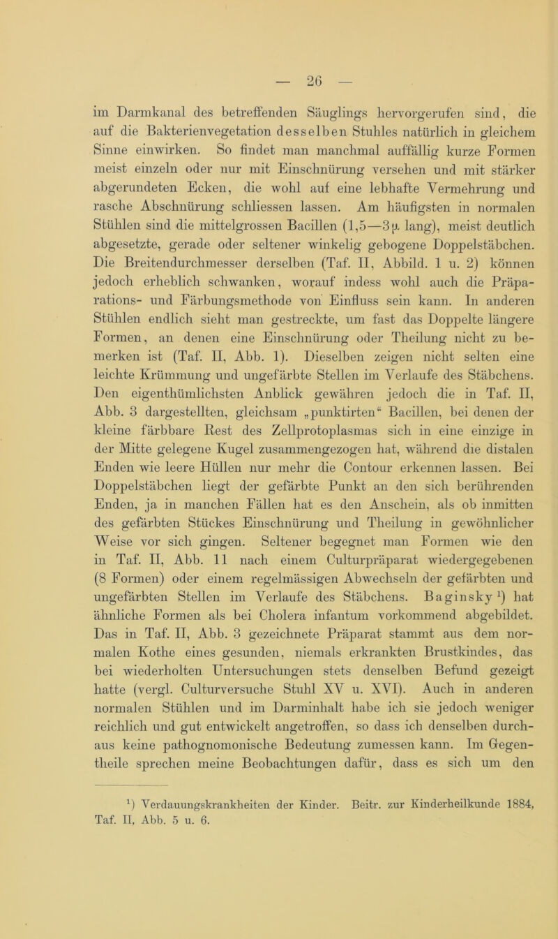 im Darmkanal des betreffenden Säuglings hervorgerufen sind, die auf die Bakterienvegetation desselben Stuhles natürlich in gleichem Sinne einwirken. So findet man manchmal auffällig kurze Formen meist einzeln oder nur mit Einschnürung versehen und mit stärker abgerundeten Ecken, die wohl auf eine lebhafte Vermehrung und rasche Abschnürung schliessen lassen. Am häufigsten in normalen Stühlen sind die mittelgrossen Bacillen (1,5—3 g lang), meist deutlich abgesetzte, gerade oder seltener winkelig gebogene Doppelstäbchen. Die Breitendurchmesser derselben (Taf. II, Abbild. 1 u. 2) können jedoch erheblich schwanken, worauf indess wohl auch die Präpa- rations- und Färbungsmethode von Einfluss sein kann. In anderen Stühlen endlich sieht man gestreckte, um fast das Doppelte längere Formen, an denen eine Einschnürung oder Theilung nicht zu be- merken ist (Taf. II, Abb. 1). Dieselben zeigen nicht selten eine leichte Krümmung und ungefärbte Stellen im Verlaufe des Stäbchens. Den eigentümlichsten Anblick gewähren jedoch die in Taf. II, Abb. 3 dargestellten, gleichsam „punktirten“ Bacillen, bei denen der kleine färbbare Rest des Zellprotoplasmas sich in eine einzige in der Mitte gelegene Kugel zusammengezogen hat, während die distalen Enden wie leere Hüllen nur mehr die Contour erkennen lassen. Bei Doppelstäbchen liegt der gefärbte Punkt an den sich berührenden Enden, ja in manchen Fällen hat es den Anschein, als ob inmitten des gefärbten Stückes Einschnürung und Theilung in gewöhnlicher Weise vor sich gingen. Seltener begegnet man Formen wie den in Taf. II, Abb. II nach einem Culturpräparat wiedergegebenen (8 Formen) oder einem regelmässigen Abwechseln der gefärbten und ungefärbten Stellen im Verlaufe des Stäbchens. Baginsky1) hat ähnliche Formen als bei Cholera infantum vorkommend abgebildet. Das in Taf. II, Abb. 3 gezeichnete Präparat stammt aus dem nor- malen Kothe eines gesunden, niemals erkrankten Brustkindes, das bei wiederholten Untersuchungen stets denselben Befund gezeigt hatte (vergl. Culturversuche Stuhl XV u. XVI). Auch in anderen normalen Stühlen und im Darminhalt habe ich sie jedoch weniger reichlich und gut entwickelt angetroffen, so dass ich denselben durch- aus keine pathognomonische Bedeutung zumessen kann. Im Gegen- theile sprechen meine Beobachtungen dafür, dass es sich um den *) Verdauungskrankheiten der Kinder. Beitr. zur Kinderheilkunde 1884, Taf. II, Abb. 5 u. 6.