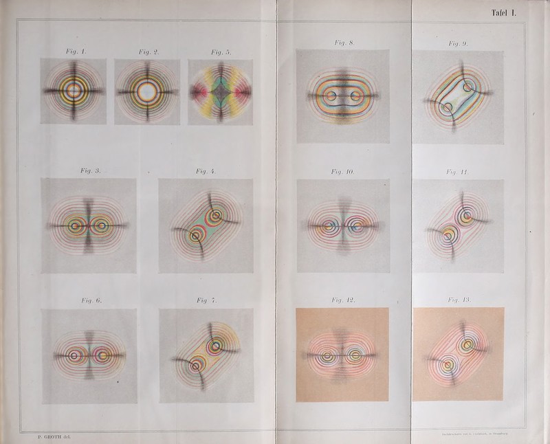 P. OROTH del. /'Vf/. !). Fig. II. Fig. Fi. Fig. IO. Fig. li. Iiuchilriiclisrel