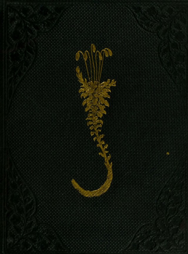 digitised image 1