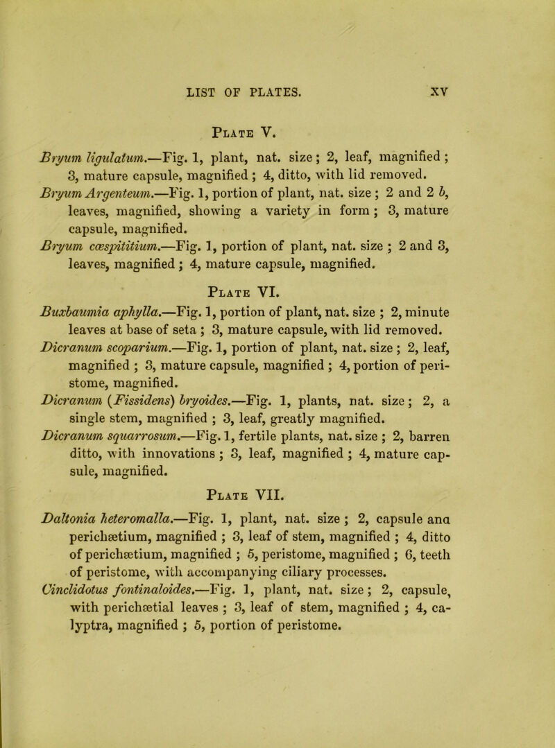 Plate V. Bryum Ugulatim,—Fig. 1, plant, nat. size; 2, leaf, magnified ; 3, mature capsule, magnified ; 4, ditto, with lid removed. Bryum Argenteum.—Fig. 1, portion of plant, nat. size ; 2 and 2 i, leaves, magnified, showing a variety in form ; 3, mature capsule, magnified. B)yum ccespititium,—Fig. 1, portion of plant, nat. size ; 2 and 3, leaves, magnified ; 4, mature capsule, magnified. Plate VI. Buxbaumia aphylla.—Fig. 1, portion of plant, nat. size ; 2, minute leaves at base of seta ; 3, mature capsule, with lid removed. Dicranum scoparium.—Fig. 1, portion of plant, nat. size ; 2, leaf, magnified ; 3, mature capsule, magnified ; 4, portion of peri- stome, magnified. Dicranum {Fissidens) hryoides.—Fig. 1, plants, nat. size; 2, a single stem, magnified ; 3, leaf, greatly magnified. Dicranum squarrosum,—Fig. 1, fertile plants, nat. size ; 2, barren ditto, with innovations ; 3, leaf, magnified ; 4, mature cap- sule, magnified. Plate VII. Daltonia heteromalla.—Fig. 1, plant, nat. size ; 2, capsule ana pericheetium, magnified ; 3, leaf of stem, magnified ; 4, ditto of perichsetium, magnified ; 5, peristome, magnified ; 6, teeth of peristome, witli accompanying ciliary processes. Cinclidotus fontinaloides.—Fig. 1, plant, nat. size ; 2, capsule, with perichsetial leaves ; 3, leaf of stem, magnified ; 4, ca- lyptra, magnified ; 6, portion of peristome.