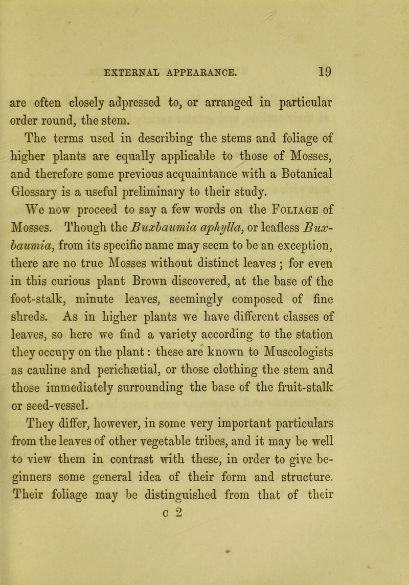 are often closely adpressed to, or arranged in particular order round, the stem. The terms used in describing the stems and foliage of higher plants are equally applicable to those of Mosses, and therefore some previous acquaintance with a Botanical Glossary is a useful preliminary to their study. We now proceed to say a few words on the Foliage of Mosses. Though the Buxhaumia aphylla, or leafless Bux- haumia^ from its specific name may seem to be an exception, there are no true Mosses without distinct leaves ; for even in this curious plant Brown discovered, at the base of the foot-stalk, minute leaves, seemingly composed of fine shreds. As in higher plants we have different classes of leaves, so here we find a variety according to the station they occupy on the plant: these are known to Museologists as cauline and perichsetial, or those clothing the stem and those immediately surrounding the base of the fruit-stalk or seed-vessel. They differ, however, in some very important particulars from the leaves of other vegetable tribes, and it may be well to view them in contrast with these, in order to give be- ginners some general idea of their form and structure. Their foliage may be distinguished from that of their