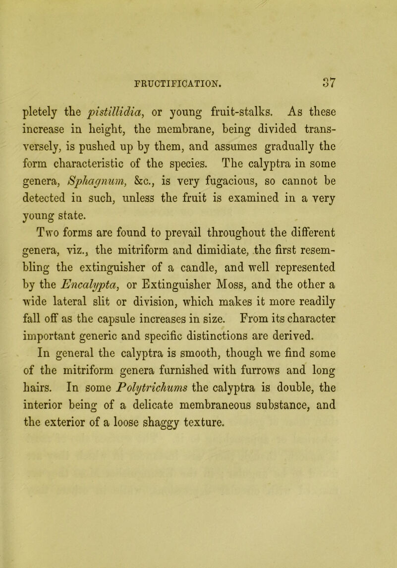 pletely the pistillidiay or young fruit-stalks. As these increase in height, the membrane, being divided trans- versely, is pushed up by them, and assumes gradually the form characteristic of the species. The calyptra in some genera. Sphagnum, &c., is very fugacious, so cannot be detected in such, unless the fruit is examined in a very young state. Two forms are found to prevail throughout the different genera, viz., the mitriform and dimidiate, the first resem- bling the extinguisher of a candle, and well represented by the Encalypta, or Extinguisher Moss, and the other a wide lateral slit or division, which makes it more readily fall off as the capsule increases in size. From its character important generic and specific distinctions are derived. In general the calyptra is smooth, though we find some of the mitriform genera furnished with furrows and long hairs. In some Polytrichums the calyptra is double, the interior being of a delicate membraneous substance, and the exterior of a loose shaggy texture.