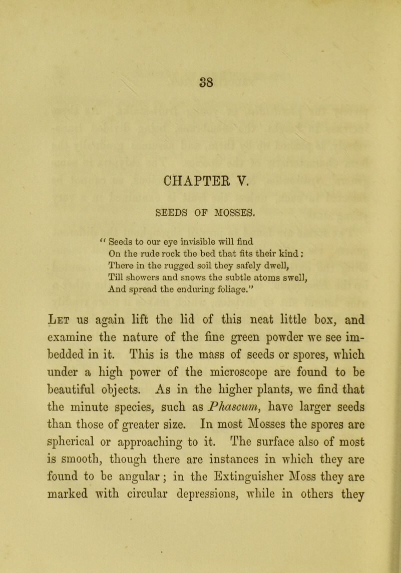 SEEDS OF MOSSES. Seeds to our eye invisible will find On the Hide rock the bed that fits their kind: There in the rugged soil they safely dwell. Till showers and snows the subtle atoms swell, And spread the endiuing foliage.” Let us again lift the lid of this neat little box, and examine the nature of the fine green powder we see im- bedded in it. This is the mass of seeds or spores, which under a high power of the microscope are found to be beautiful objects. As in the higher plants, we find that the minute species, such as Phascum, have larger seeds than those of greater size. In most Mosses the spores are spherical or approaching to it. The surface also of most is smooth, though there are instances in which they are found to be angular; in the Extinguisher Moss they are marked with circular depressions, while in others they