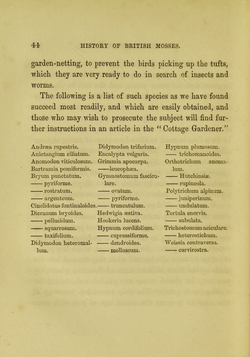 garden-netting, to prevent the birds picking up the tufts, which they are very ready to do in search of insects and worms. The following is a list of such species as we have found succeed most readily, and which are easily obtained, and those who may wish to prosecute the subject will find fur- ther instructions in an article in the Cottage Gardener.' Andrjea rupestris. Anictangium ciliatum. Anomodon viticulosum. Barhramia pomiformis. Bryum i^unctatum. pyriforme. rosti*atum. argenteuni. Cinclidotus fontinaloides. Dicrauum bryoides. pellucidum. squaiTosum. taxifolium. Didymodon heteromal- ■ lum. Didymodon trifarium. Encal}^pta vulgaris. Grimmia apocavpa. leucophsea. Gymuostomum fascicu- lare. ovatum. pyriforme. truncatulum. Hedudgia sestiva. Hookeria lucens. Hypnum cordifolium. cupressifoi’me. dendroides. molluscum. Hypnum plumosum. trichomanoides. Orthotrichum anoma- lum. Hutchinsiae. rupincola. Polytrichum alpinum. juniperinum. undulatum. Tortula eneiuds. subulata. Trichostomum aciculare. heterostichum. Weissia contraversa. cux-virostra.