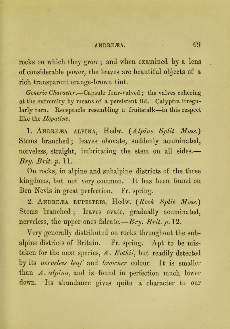 rocks on which they grow ; and when examined by a lens of considerable power, the leaves are beautiful objects of a rich transparent orange-brown tint. Generic Character.—Capsule four-valved ; the valves cohering at tlie extremity by means of a persistent lid. Calyptra irregu- larly torn. Receptacle resembling a fruitstalk—in this respect like the Hepaticce, 1. ANDREiEA ALPiNA, Hedw. {^Alpine Split Moss.) Stems branched; leaves obovate, suddenly acuminated, nerveless, straight, imbricating the stem on all sides.— Bry. Brit. p.W. On rocks, in alpine and subalpine districts of the three kingdoms, but not very common. It has been found on Ben Nevis in great perfection. Fr. spring. 2. Andreasa rupestris, Hedw. {RocJc Split Moss.) Stems branched ; leaves ovate, gradually acuminated, nerveless, the upper ones falcate.—Bry. Brit. p. 12. Very generally distributed on rocks throughout the sub- alpine districts of Britain. Fr. spring. Apt to be mis- taken for the next species, A. Bothii, but readily detected by its nerveless leaf and browner colour. It is smaller than A. alpina, and is found in perfection much lower down. Its abundance gives quite a character to our