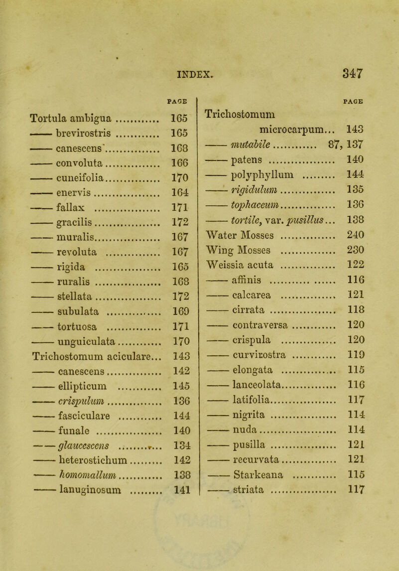 PAGE Tortilla ambigua ............ 165 brevirostris 165 canescens’ 168 convoluta 166 cuneifolia 170 enervis 164 fallax 171 gracilis 172 muralis 167 revoluta 167 rigida 165 ruralis 168 stellata 172 siibulata 169 tortuosa 171 unguiculata 170 Trichostomum aciculare... 143 canescens 142 ellipticum 145 crispulim 136 fasciculare 144 funale 140 glaucescens 134 heterostichum 142 homomallim 138 lanuginosum 141 Trichostomum PAGE microcarpum. .. 143 mutdbile 87,137 patens ... 140 polyphyllum ... 144 rigidulum ... 135 tophaceum ... 136 tortile^ var. pusillus, ... 138 Water Mosses ... 240 Wing Mosses ... 230 Weissia acuta ... 122 affinis ... 116 calcarea ... 121 cirrata ... 118 contraversa ... 120 crispula ... 120 curvirostra ... 119 elongata ... 115 lanceolata ... 116 latifolia ... 117 nigrita ... 114 nuda ... 114 pusilla ... 121 recurvata ... 121 Starkeana ... 115 striata ... 117