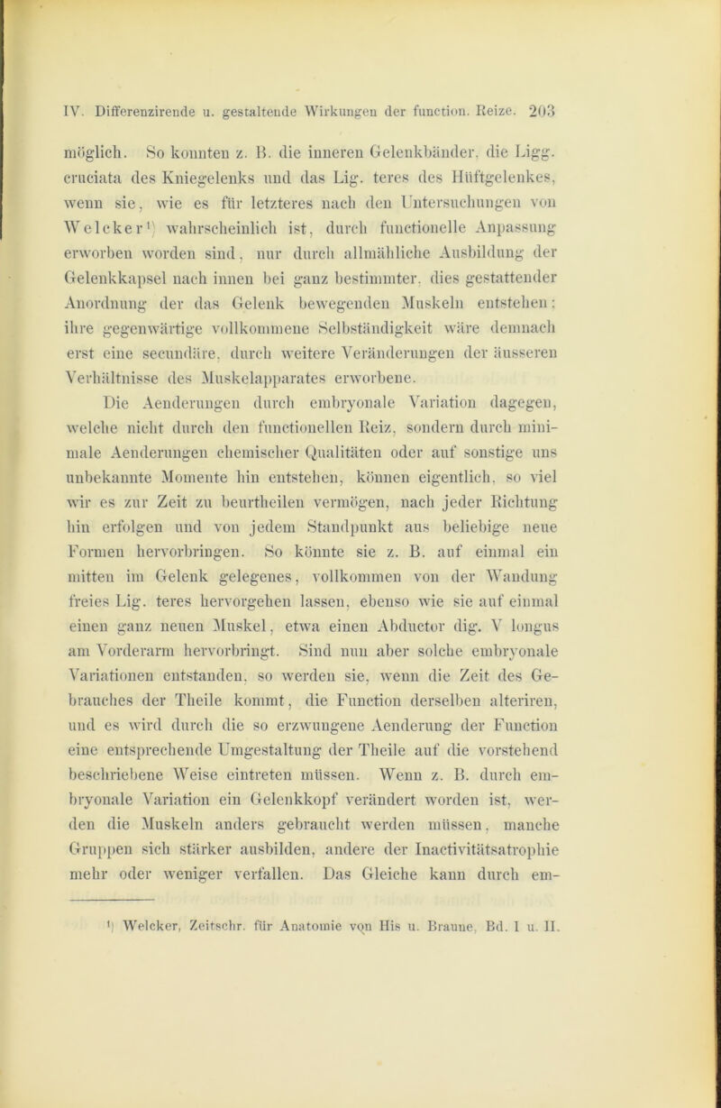 möglicli. So konnten z. B. die inneren Gelenkbänder, die Ligg. cruciata des Kniegelenks nnd das Lig. teres des Hüftgelenkes, wenn sie, wie es für letzteres nach den Untersuelmngen von AVeIcker*' wahrscheinlich ist, durch fiinctionelle Anpassung erworben worden sind, nur durch allmähliche Ausbildung der Gelenkka])sel nach innen bei ganz bestimmter, dies gestattender Anordnung der das Gelenk bewegenden Muskeln entstehen; ihre gegenwärtige vollkommene Selbständigkeit wäre demnach erst eine secundäre, durch weitere A^eränderungen der äusseren A'erhältnisse des Aluskelapparates erworbene. Die Aenderungen durcli embryonale AMriation dagegen, welche nicht durch den functioneilen Keiz, sondern durch mini- male Aenderungen chemischer Qualitäten oder auf sonstige uns unbekannte Momente hin entstehen, können eigentlich, so viel wir es zur Zeit zu beurtheilen vermögen, nach jeder Kichtung hin erfolgen und von jedem Standpunkt aus beliebige neue Formen hervorbringen. So könnte sie z. B. auf einmal ein mitten im Gelenk gelegenes, vollkommen von der AAhindung freies Lig. teres hervorgehen lassen, ebenso wie sie auf einmal einen ganz neuen Aluskel, etwa einen Abductor dig. A longus am Vorderarm hervorbringt. Sind nun aber solche embryonale A^aiiationen entstanden, so werden sie, wenn die Zeit des Ge- brauches der Theile kommt, die Function derselben alteriren, und es wird durch die so erzwungene Aenderung der Function eine entsprechende Umgestaltung der Theile auf die vorstehend beschriebene AA^eise eintreten müssen. Wenn z. B. durch em- bryonale A^ariation ein Gelenkkopf verändert Avorden ist, Aver- den die Aluskeln anders gebraucht Averden müssen. manche Gruppen sich stärker ausbilden, andere der InactiAÜtätsatrophie mehr oder Aveniger verfallen. Das Gleiche kann durch em- b AVelcker, Zeitschr. für Anatomie vqn His u. Braune, Bd. 1 n. II.