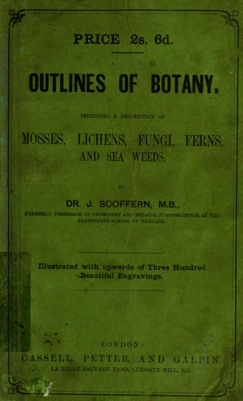 PRICE 2s. 6d. OUTLINES OF BOTANV. INCLUDING A DESCRIPTION OF MOSSES, LICHENS, FUNGI, AND SEA WEEDS. FERNS, 'I ■£ BV DR. J. SCOFFERN, M.B., FORMERLY PROFESSOR OF CHEMISTRY AND MEDICAL JURISPRUDENCE AT THE ALDERSGATE SCHOOL OF MEDICINE. 'Ms Illustrated with upwards of Three Hundred Beautiful Engravings. .a* • LONDON; CASSELL, FETTER, AND GALPINJ LA BELLB SAUVAUK VAUD, LUDGATE HILL, E.C.