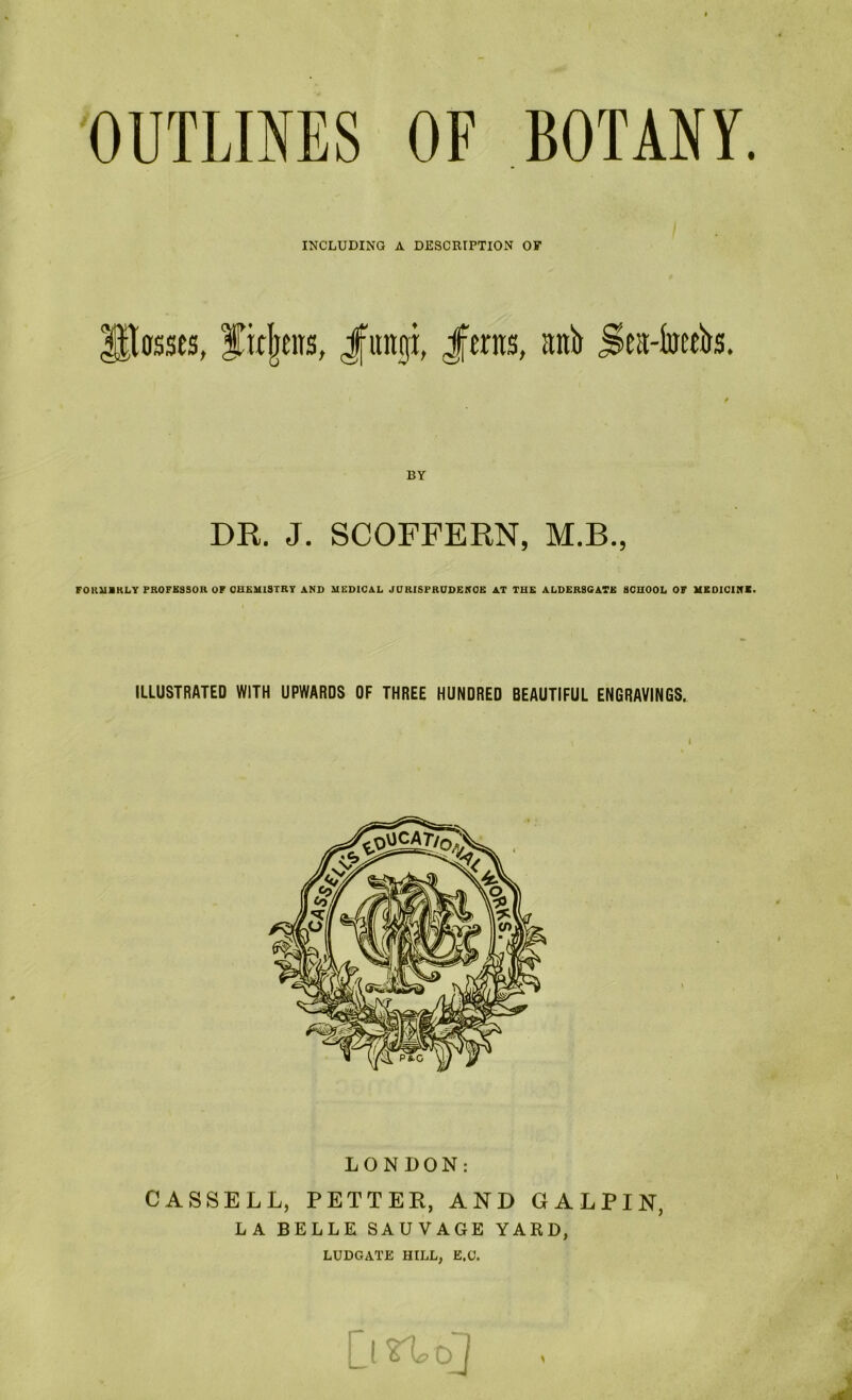 BOTANY. OUTLINES INCLUDING A DESCRIPTION OF glasses, f irijtns, Jfitngi, Jfwns, anb Sea-fottbs. BY DR. J. SCOFFERN, M.B., FOUUIKLY PROFKSSOR OF CHEMISTRY AND MEDICAL JCRISFRCDENOE AT THE ALDER8GATE SCHOOL OF MEDICINE. ILLUSTRATED WITH UPWARDS OF THREE HUNDRED BEAUTIFUL ENGRAVINGS. LONDON: CASSELL, FETTER, AND GALPIN, LA BELLE SALVAGE YARD, LUDGATE HILL, E.U.