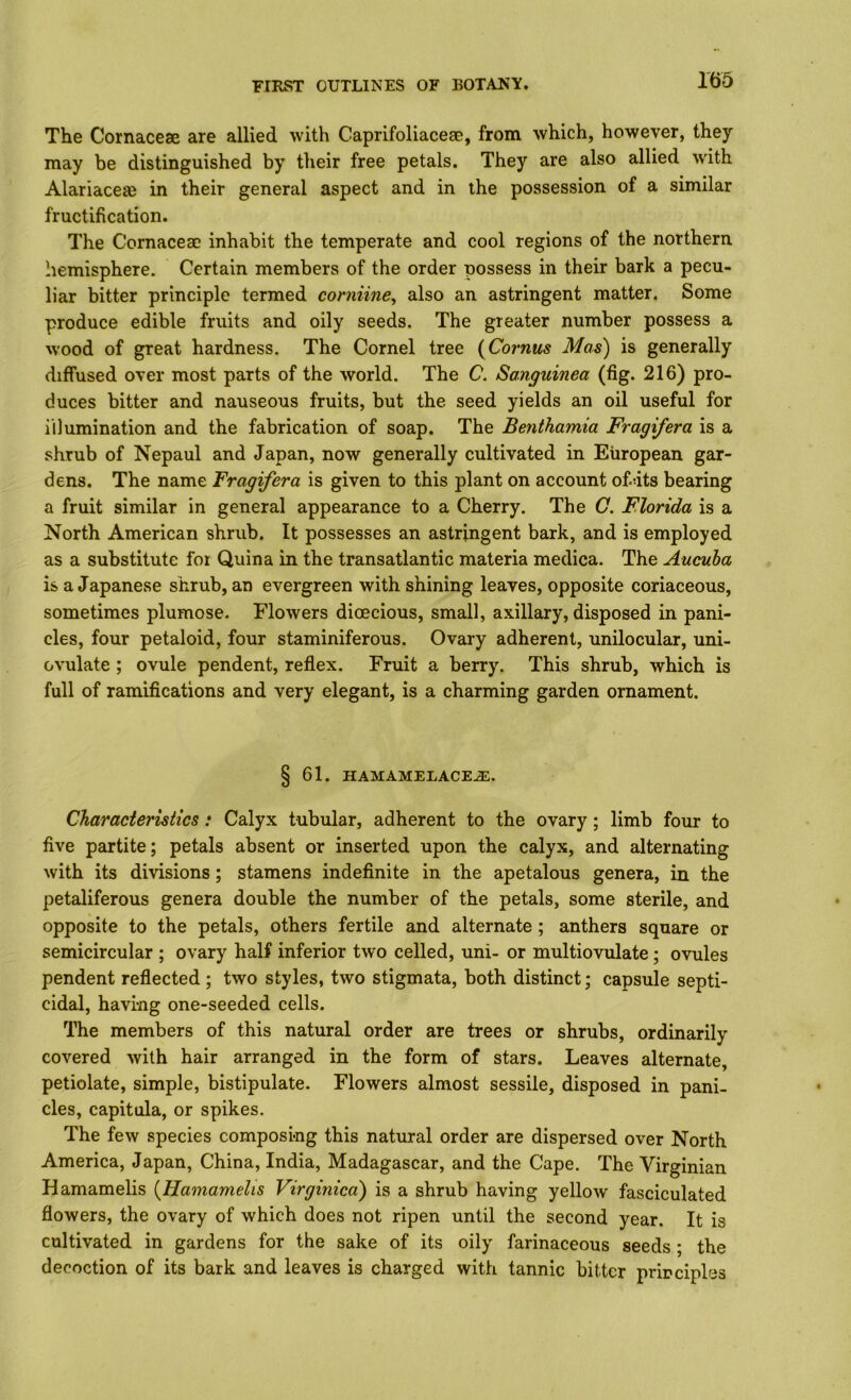 The Cornaceae are allied with Caprifoliaceae, from which, however, they may be distinguished by their free petals. They are also allied with Alariaces) in their general aspect and in the possession of a similar fructification. The Cornaceae inhabit the temperate and cool regions of the northern hemisphere. Certain members of the order possess in their bark a pecu- liar bitter principle termed corniine, also an astringent matter. Some produce edible fruits and oily seeds. The greater number possess a wood of great hardness. The Cornel tree {^Cornus Mas) is generally diffused over most parts of the world. The C. Sanguinea (fig. 216) pro- duces bitter and nauseous fruits, but the seed yields an oil useful for illumination and the fabrication of soap. The Benthamia Fragifera is a shrub of Nepaul and Japan, now generally cultivated in European gar- dens. The name Fragifera is given to this plant on account ofdts bearing a fruit similar in general appearance to a Cherry. The C. Florida is a North American shrub. It possesses an astringent bark, and is employed as a substitute for Quina in the transatlantic materia medica. The Aucuha is a Japanese shrub, an evergreen with shining leaves, opposite coriaceous, sometimes plumose. Flowers dioecious, small, axillary, disposed in pani- cles, four petaloid, four staminiferous. Ovary adherent, unilocular, uni- ovulate ; ovule pendent, reflex. Fruit a berry. This shrub, which is full of ramifications and very elegant, is a charming garden ornament. § 61. HAMAMELACE.S:. Characteristics t Calyx tubular, adherent to the ovary; limb four to five partite; petals absent or inserted upon the calyx, and alternating with its divisions; stamens indeflnite in the apetalous genera, in the petaliferous genera double the number of the petals, some sterile, and opposite to the petals, others fertile and alternate ; anthers square or semicircular ; ovary half inferior two celled, uni- or multiovulate; ovules pendent reflected; two styles, two stigmata, both distinct; capsule septi- cidal, having one-seeded cells. The members of this natural order are trees or shrubs, ordinarily covered with hair arranged in the form of stars. Leaves alternate, petiolate, simple, bistipulate. Flowers almost sessile, disposed in pani- cles, capitula, or spikes. The few species composing this natural order are dispersed over North America, Japan, China, India, Madagascar, and the Cape. The Virginian Hamamelis [FLamamelis Virginica) is a shrub having yellow fasciculated flowers, the ovary of which does not ripen until the second year. It is cultivated in gardens for the sake of its oily farinaceous seeds ; the decoction of its bark and leaves is charged with tannic bitter principles