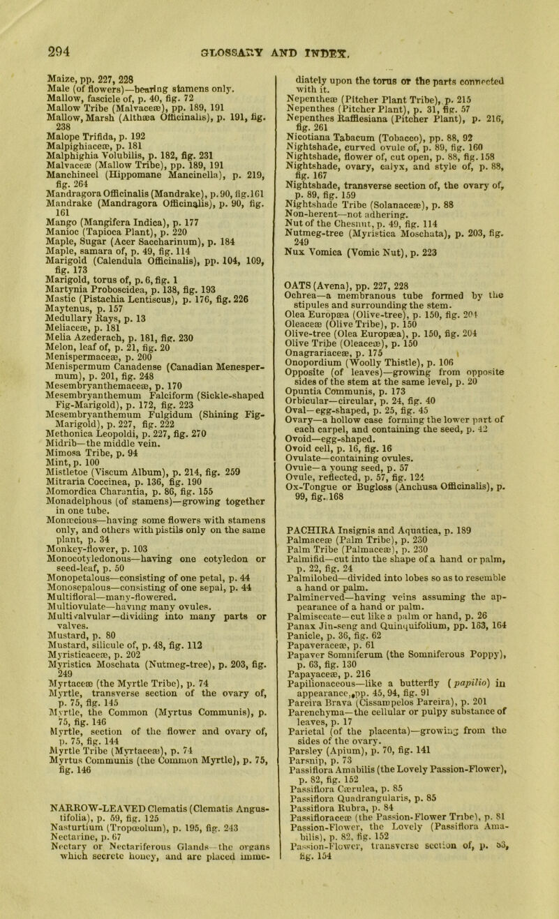 Maize, pp. 227, 228 Male (of flowers)—bearing stamens only. Mallow, fascicle of, p. 40, fig. 72 Mallow Tribe (Malvaceae), pp. 189, 191 Mallow, Marsh (Althaea Ofhcinahs), p. 191, iig. 238 Malope Trifida, p. 192 Malpighiacete, p. 181 Malphighia Volubilis, p. 182, fig. 231 Malvaceaj (Mallow Tribe), pp, 189, 191 Manchineel (Hippomane Mancinella), p. 219, fig. 264 MandragoraOfficinalis (Mandrake), p.90, iig.lGl Mandrake (Mandragora Officinalis), p. 90, fig. 161 Mango (Mangifera Indica), p. 177 Manioc (Tapioca Plant), p. 220 Maple, Sugar (Acer Saccharinum), p. 184 Maple, samara of, p. 49, fig. 114 Marigold (Calendula Officinalis), pp. 104, 109, fig. 173 Marigold, torus of, p. 6, fig. 1 Martjmia Proboscidea, p. 138, fig. 193 Mastic (Pistachia Lentiscus), p. 176, fig. 226 Maytenus, p. 157 Medullary Rays, p. 13 Meliacete, p. 181 Melia Azederach, p. 181, fig. 230 Melon, leaf of, p. 21, fig. 20 Menispermacese, p. 200 Menispermum Canadense (Canadian Menesper- mmn), p. 201, fig. 248 Mesembryanthemacem, p. 170 Mesembryanthemum Falciform (Sickle-shaped Fig-Marigold), p. 172, fig. 223 Mesembryanthemum Fulgidum (Shining Fig- Marigold), p. 227, fig. 222 Methonica Leopold!, p. 227, fig. 270 Midrib—the middle vein. Mimosa Tribe, p. 94 Mint, p. 100 Mistletoe (Viscum Album), p. 214, fig. 259 Mitraria Coccinea, p. 136, fig. 190 Momordica Charantia, p. 86, fig. 155 Monadelphous (of stamens)—growing together in one tube. Monoecious—having some flowers with stamens only, and others with pistils only on the same plant, p. 34 Monkey-flower, p. 103 Monocotyledonous—having one cotyledon or seed-leaf, p. 50 Monopetalous—consisting of one petal, p. 44 Monosepalous—consisting of one sepal, p. 44 Multifloral—many-flowered. Multiovulate—having many ovules. Multi valvular—dividing into many parts or valves. Mustard, p. 80 Mustard, silicule of, p. 48, fig. 112 Myristicacem, p. 202 Myristica Moschata (Nutmeg-tree), p. 203, fig. 249 Myrtacem (the Myrtle Tribe), p. 74 Myrtle, transverse section of the ovary of, p. 75, fig. 145 Mvrtle, the Common (Myrtus Communis), p. 75, fig. 146 Myrtle, section of the flower and ovary of, p. 75, fig. 144 Myrtle Tribe (Mj-rtacem), p. 74 Myrtus Communis (the Common Myrtle), p. 75, fig. 146 NARROW-LEAVED Clematis (Clematis Angus- tifolia), p. 59, fig. 125 Nasturtium (Tropoeolum), p. 195, fig. 243 Nectarine, p. 67 Nectary or Nectariferous Glands the organs which secrete honey, and are placed imme- diately upon the toms or the parts cormected with it. Nepenthe® (Pitcher Plant Tribe), p. 215 Nepenthes (Pitcher Plant), p. 31, fig. 57 Nepenthes Raffiesiana (Pitcher Plant), p. 216, fig. 261 Nicotiana Tabacum (Tobacco), pp. 88, 92 Nightshade, curved ovule of, p. 89, fig. 160 Nightshade, flower of, cut open, p. 88, fig. 158 Nightshade, ovary, calyx, and style of, p. 88, fig. 167 Nightshade, transverse section of, the ovary of, p. 89, fig. 159 Nightshade Tribe (Solanace®), p. 88 Non-herent—not adhering. Nut of the Chesiiut, p. 49, fig. 114 Nutmeg-tree (Myristica Moschata), p. 203, fig. 249 Nux Vomica (Vomic Nut), p. 223 OATS (Arena), pp. 227, 228 Ochrea—a membranous tube formed by the stipules and surrounding the stem. Olea Europma (Olive-tree), p. 150, fig. 201 Oleace® (Olive Tribe), p. 150 Olive-tree (Olea Europma), p. 150, fig. 204 Olive Tribe (Oleace®), p. 150 Onagrariace®, p. 175 > Onopordium (Woolly Thistle), p. 106 Opposite (of leaves)—growing from opposite sides of the stem at the same level, p. 20 Opuntia Communis, p. 173 Orbicular—circular, p. 24, fig. 40 Oval—egg-shaped, p. 25, fig. 45 Ovary—a hollow case forming the lower part of each carpel, and containing the seed, p. 42 Ovoid—egg-shaped. Ovoid cell, p. 16, fig, 16 Ovulate—containing ovules. Ovule—a young seed, p. 57 Ovule, reflected, p. 57, fig. 121 Ox-Tongue or Bugloss (Anchusa Officinalis), p. 99, fig. 168 PACHIRA Insignis and Aquatica, p. 189 Palmace® (Palm Tribe), p. 230 Palm Tribe (Palmace®), p. 230 Palmifid—cut into the shape of a hand or palm, p. 22, fig. 24 Palmilobed—divided into lobes so as to resemble a hand or palm. Palminerved—having veins assuming the ap- pearance of a hand or palm, Palmisecate—cut like a palm or hand, p, 26 Panax Jin-seng and Quinquifolium, pp. 163, 164 Panicle, p. 36, fig. 62 Papaverace®, p. 61 Papaver Somniferum (the Somniferous Poppy), p. 63, fig. 130 Papayace®, p. 216 Papilionaceous—like a butterfly [papilio) iu appearance,,pp. 45, 94, fig. 91 Pareira Brava (Cissaropelos Pareira), p. 201 Parenchyma—the cellular or pulpy substance of leaves, p. 17 Parietal (of the placenta)—growing from the sides of the ovary. Parsley (Apium), p. 70, fig. 141 Par.snip, p. 73 Passiflora Amabilis (the Lovely Passion-Flower), p. 82, fig. 152 Passiflora Cmrulea, p. 85 Passiflora Quadrangularis, p. 85 Passiflora Rubra, p. 84 Passiflorace® (the Passion-Flower Tnbri, p. 81 Passion-Flower, the Lovely (Passiflora Aina- hilis), p. 82, fig. 152 Passion-Flower, tiausvcrse section of, p. t>3, fig. 154