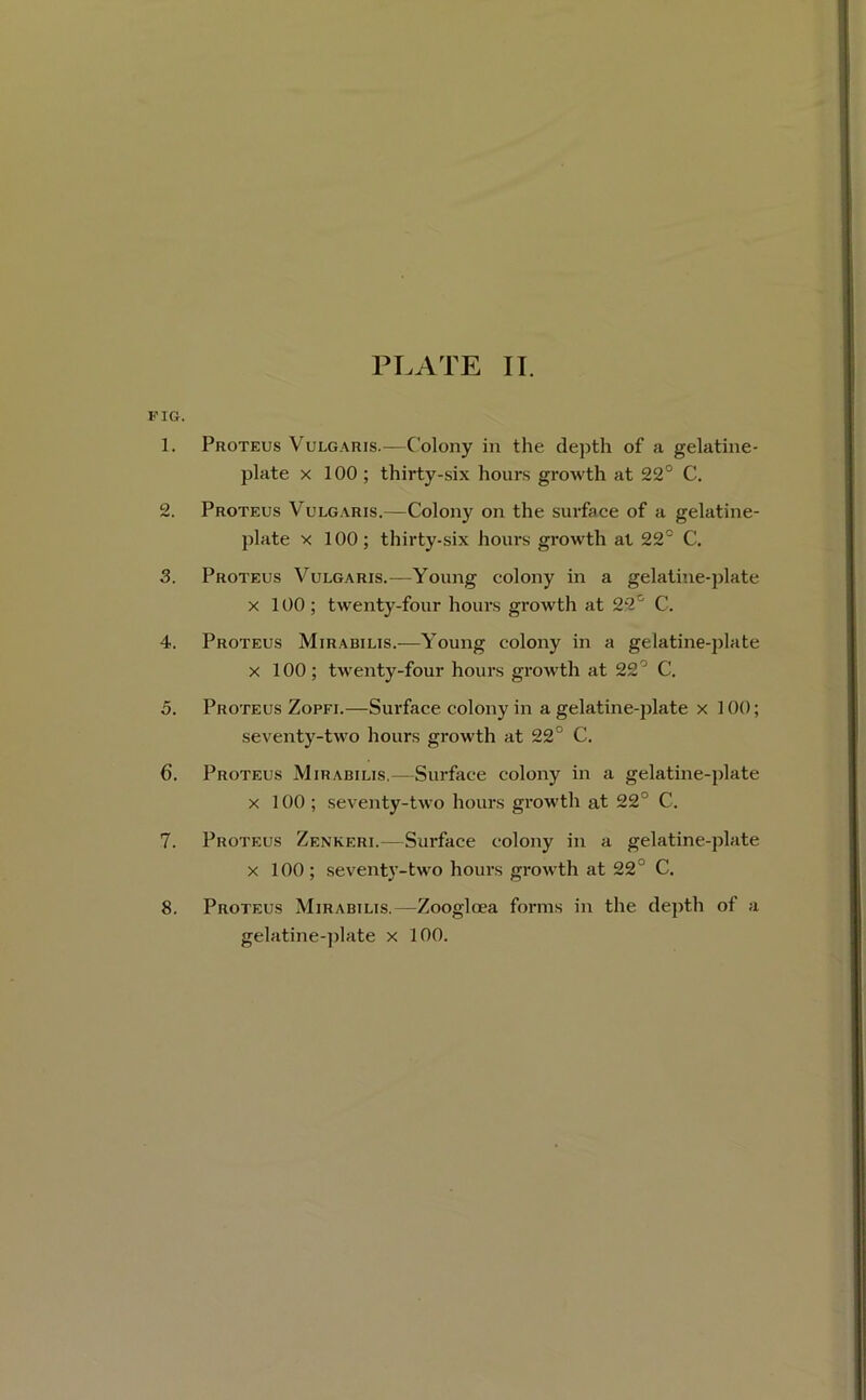 FIG. 1. Proteus Vulgaris.—Colony in the depth of a gelatine- plate X 100 ; thirty-six hours growth at 22° C. 2. Proteus Vulgaris.—Colony on the surface of a gelatine- plate X 100; thirty-six hours growth at 22° C. 3. Proteus Vulgaris.—Young colony in a gelatine-plate X 100; twenty-four hours growth at 22° C. 4. Proteus Mirabilis.—Young colony in a gelatine-plate X 100; tw'enty-four hours growth at 22° C. 5. Proteus Zopfi.—Surface colony in a gelatine-jilate x 100; seventy-two hours growth at 22° C. 6. Proteus Mirabilis,—Surface colony in a gelatine-plate X 100; seventy-two hours growth at 22° C. 7. Proteus Zenkeri.—Surface colony in a gelatine-plate X 100; seventy-two hours growth at 22° C. 8. Proteus Mirabilis,—Zoogloea forms in the depth of a