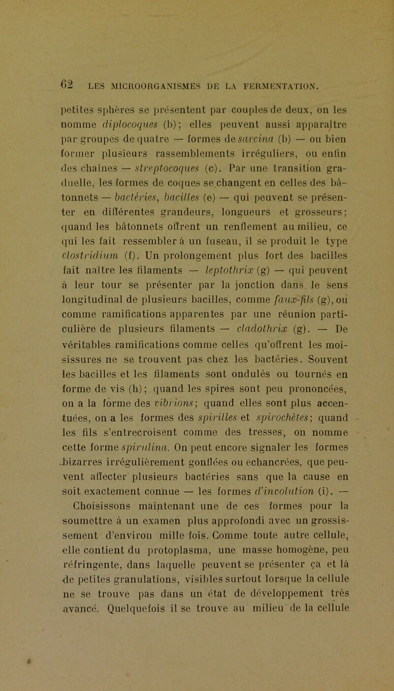 petites sphères se présentent par couples de deux, on les nomme diplococpies (h); elles peuvent aussi apparaître par groupes de quatre — formes desarcina (b) — ou bien former plusieurs rassemblements irréguliers, ou enfin des chaînes — streptocoques (c). Par une transition gra- duelle, les formes de coques se changent en celles des bâ- tonnets — bactéries, bacilles (e) — qui peuvent se présen- ter en différentes grandeurs, longueurs et grosseurs; quand les bâtonnets offrent un renflement au milieu, ce qui les fait ressemblera un fuseau, il se produit le type clostridium (f). Un prolongement plus fort des bacilles fait naître les filaments — leptothrix (g) — qui peuvent à leur tour se présenter par la jonction dans le sens longitudinal de plusieurs bacilles, comme faux-fils (g), ou comme ramifications apparentes par une réunion parti- culière de plusieurs filaments — cladothrix (g). — De véritables ramifications comme celles qu’offrent les moi- sissures ne se trouvent pas chez les bactéries. Souvent les bacilles et les filaments sont ondulés ou tournés en forme de vis (h); quand les spires sont peu prononcées, on a la forme des vibrions; quand elles sont plus accen- tuées, on a les formes des spirilles et spirocMtes ; quand les fils s’entrecroisent comme des tresses, on nomme cette lorme spirulina. On peut encore signaler les formes Jfizarres irrégulièrement gonflées ou echancrées, que peu- vent affecter plusieurs bactéries sans que la cause en soit exactement connue — les formes d’inwlution (i). — Choisissons maintenant une de ces formes pour la soumettre à un examen plus approfondi avec un grossis- sement d’environ mille fois. Comme toute autre cellule, elle contient du protoplasma, une masse homogène, peu réfringente, dans laquelle peuvent se présenter ça et là <ie petites granulations, visibles surtout lorsque la cellule ne se trouve pas dans un état de développement très avancé. Quelquefois il se trouve au milieu de la cellule