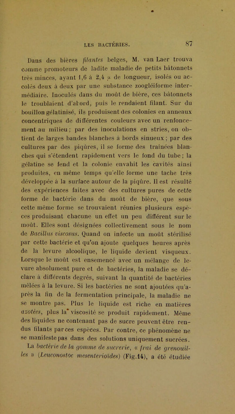 Dans des bières filantes belges, M. van Laer trouva comme promoteurs de ladite maladie de petits bâtonnets très minces, ayant 1,6 à 2,4 y. de longueur, isolés ou ac- colés deux à deux par une substance zoogléiforme inter- médiaire. Inoculés dans du moût de bière, ces bâtonnets le troublaient d’al ord, puis le rendaient filant. Sur du bouillon gélatinisé, ils produisent des colonies en anneaux concentriques de diflérentes couleurs avec un renfonce- ment au milieu ; par des inoculations en stries, on ob- tient de larges bandes blanches à bords sinueux ; par des cultures par des piqûres, il se forme des traînées blan- ches qui s’étendent rapidement vers le fond du tube; la gélatine se fend et la colonie envahit les cavités ainsi produites, en même temps qu’elle forme une tache très développée â la surface autour de la piqûre. Il est résulté des expériences faites avec des cultures pures de cetfe forme de bactérie dans du moût de bière, que sous cette même forme se trouvaient réunies plusieurs espè- ces produisant chacune un effet un peu différent sur le moût. Elles sont désignées collectivement sous le nom de Bacillus viscosus. Quand on infecte un moût stérilisé par cette bactérie et qu’on ajoute quelques heures après de la levure alcoolique, le liquide devient visqueux. Lorsque le moût est ensemencé avec un mélange de le- vure absolument pure et de bactéries, la maladie se dé- clare à différents degrés, suivant la quantité de bactéries mêlées à la levure. Si les bactéries ne sont ajoutées qu’a- près la fin de la fermentation principale, la maladie ne se montre pas. Plus le liquide est riche en matières azotées, plus la* viscosité se produit rapidement. Même des liquides ne contenant pas de sucre peuvent être ren- dus filants par ces espèces. Par contre, ce phénomène ne se manifeste pas dans des solutions uniquement sucrées. La bactérie de la nomme de sucrerie, « frai de grenouil- les » {Leuconostoc mesenterioîdes) (Fig.l4), a été étudiée