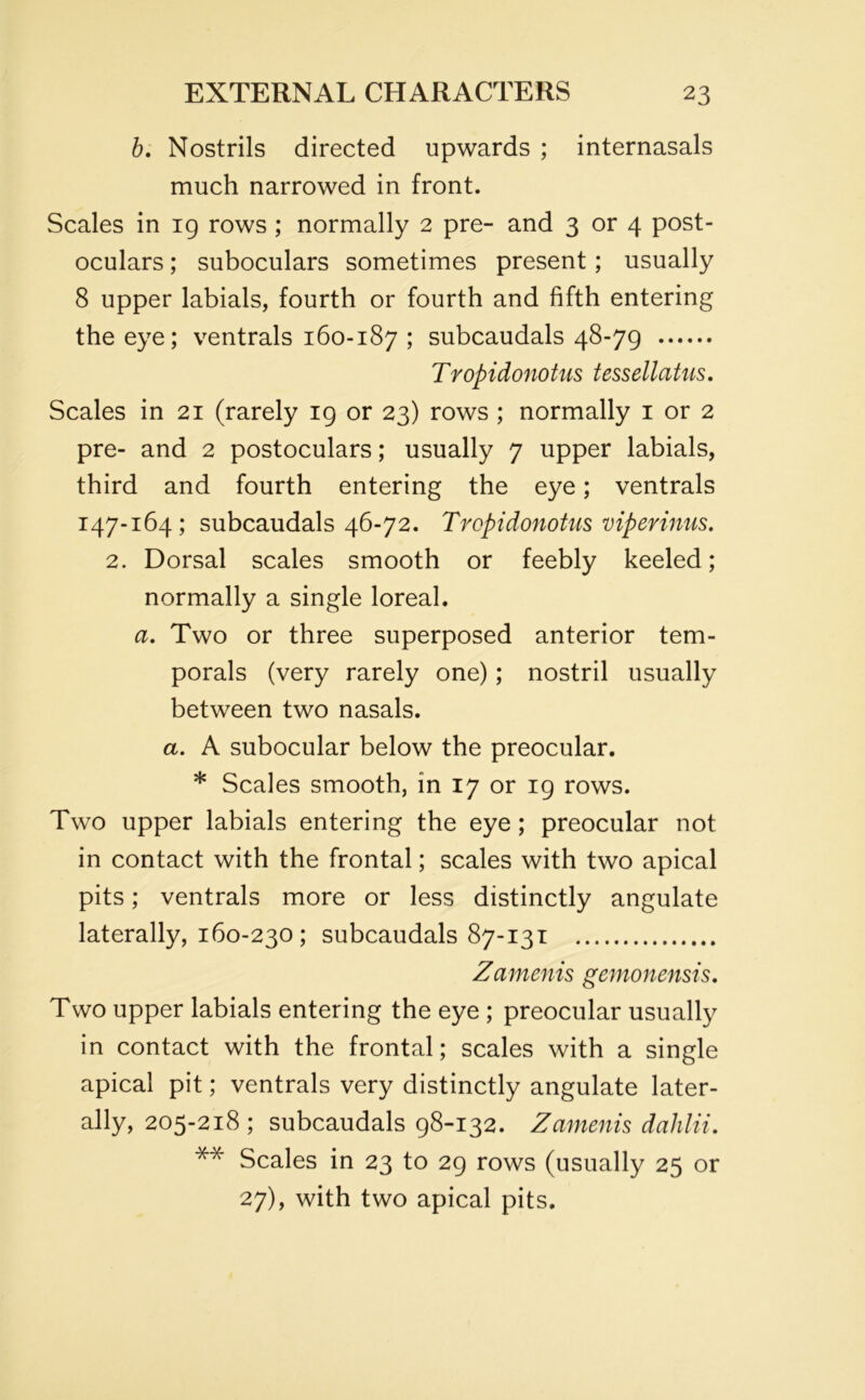 b. Nostrils directed upwards ; internasals much narrowed in front. Scales in ig rows ; normally 2 pre- and 3 or 4 post- oculars ; suboculars sometimes present; usually 8 upper labials, fourth or fourth and fifth entering the eye; ventrals 160-187 ; subcaudals 48-79 Tropidonotus tessellatus. Scales in 21 (rarely 19 or 23) rows ; normally 1 or 2 pre- and 2 postoculars; usually 7 upper labials, third and fourth entering the eye; ventrals 147-164; subcaudals 46-72. Tropidonotus viperinus. 2. Dorsal scales smooth or feebly keeled; normally a single loreal. a. Two or three superposed anterior tem- porals (very rarely one); nostril usually between two nasals. a. A subocular below the preocular. * Scales smooth, in 17 or 19 rows. Two upper labials entering the eye ; preocular not in contact with the frontal; scales with two apical pits; ventrals more or less distinctly angulate laterally, 160-230; subcaudals 87-131 Zamends gemonensis. Two upper labials entering the eye ; preocular usually in contact with the frontal; scales with a single apical pit; ventrals very distinctly angulate later- ally, 205-218 ; subcaudals 98-132. Zamenis dahlii. ** Scales in 23 to 29 rows (usually 25 or 27), with two apical pits.