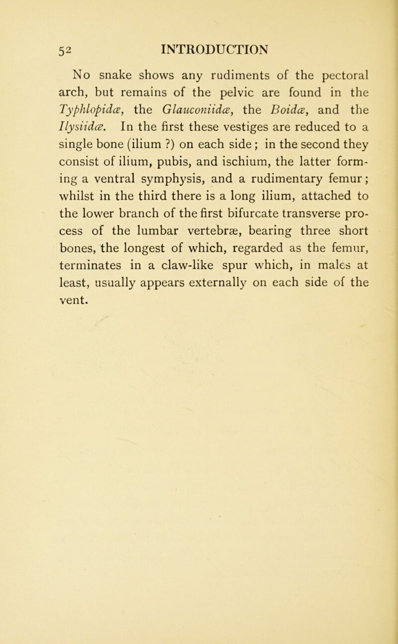 No snake shows any rudiments of the pectoral arch, but remains of the pelvic are found in the Typhlopidce, the Glauconiidcz, the Boidce, and the Ilysiidce. In the first these vestiges are reduced to a single bone (ilium ?) on each side ; in the second they consist of ilium, pubis, and ischium, the latter form- ing a ventral symphysis, and a rudimentary femur; whilst in the third there is a long ilium, attached to the lower branch of the first bifurcate transverse pro- cess of the lumbar vertebrae, bearing three short bones, the longest of which, regarded as the femur, terminates in a claw-like spur which, in males at least, usually appears externally on each side of the vent.