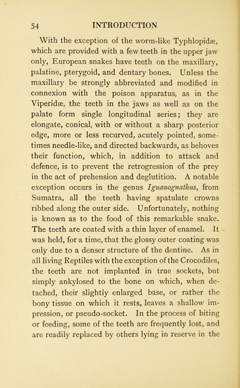 With the exception of the worm-like Typhlopidae, which are provided with a few teeth in the upper jaw only, European snakes have teeth on the maxillary, palatine, pterygoid, and dentary bones. Unless the maxillary be strongly abbreviated and modified in connexion with the poison apparatus, as in the Viperidse, the teeth in the jaws as well as on the palate form single longitudinal series; they are elongate, conical, with or without a sharp posterior edge, more or less recurved, acutely pointed, some- times needle-like, and directed backwards, as behoves their function, which, in addition to attack and defence, is to prevent the retrogression of the prey in the act of prehension and deglutition. A notable exception occurs in the genus Iguanognathus, from Sumatra, all the teeth having spatulate crowns ribbed along the outer side. Unfortunately, nothing is known as to the food of this remarkable snake. The teeth are coated with a thin layer of enamel. It was held, for a time, that the glossy outer coating was only due to a denser structure of the dentine. As in all living Reptiles with the exception of the Crocodiles, the teeth are not implanted in true sockets, but simply ankylosed to the bone on which, when de- tached, their slightly enlarged base, or rather the bony tissue on which it rests, leaves a shallow im- pression, or pseudo-socket. In the process of biting or feeding, some of the teeth are frequently lost, and are readily replaced by others lying in reserve in the