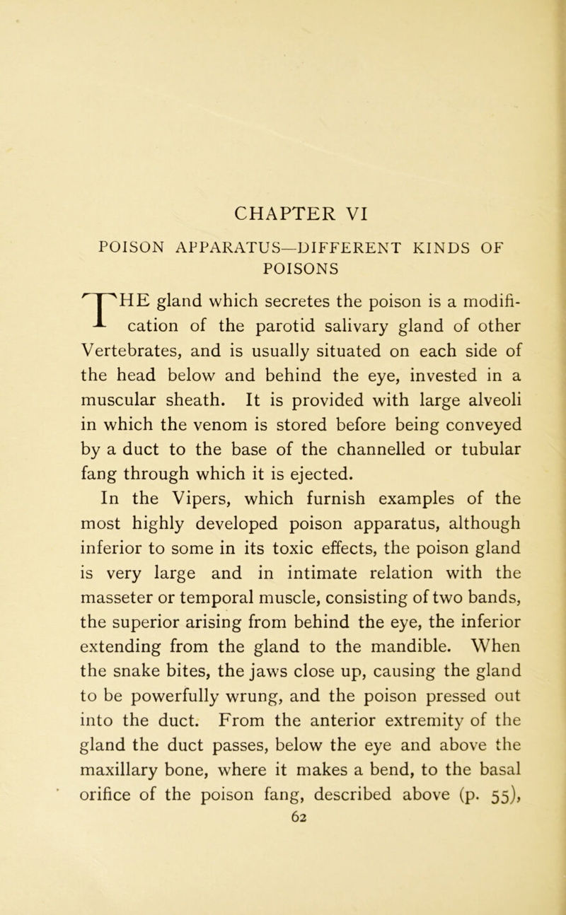 CHAPTER VI POISON APPARATUS—DIFFERENT KINDS OF POISONS I 'HE gland which secretes the poison is a modifi- -*■ cation of the parotid salivary gland of other Vertebrates, and is usually situated on each side of the head below and behind the eye, invested in a muscular sheath. It is provided with large alveoli in which the venom is stored before being conveyed by a duct to the base of the channelled or tubular fang through which it is ejected. In the Vipers, which furnish examples of the most highly developed poison apparatus, although inferior to some in its toxic effects, the poison gland is very large and in intimate relation with the masseter or temporal muscle, consisting of two bands, the superior arising from behind the eye, the inferior extending from the gland to the mandible. When the snake bites, the jaws close up, causing the gland to be powerfully wrung, and the poison pressed out into the duct. From the anterior extremity of the gland the duct passes, below the eye and above the maxillary bone, where it makes a bend, to the basal orifice of the poison fang, described above (p. 55),