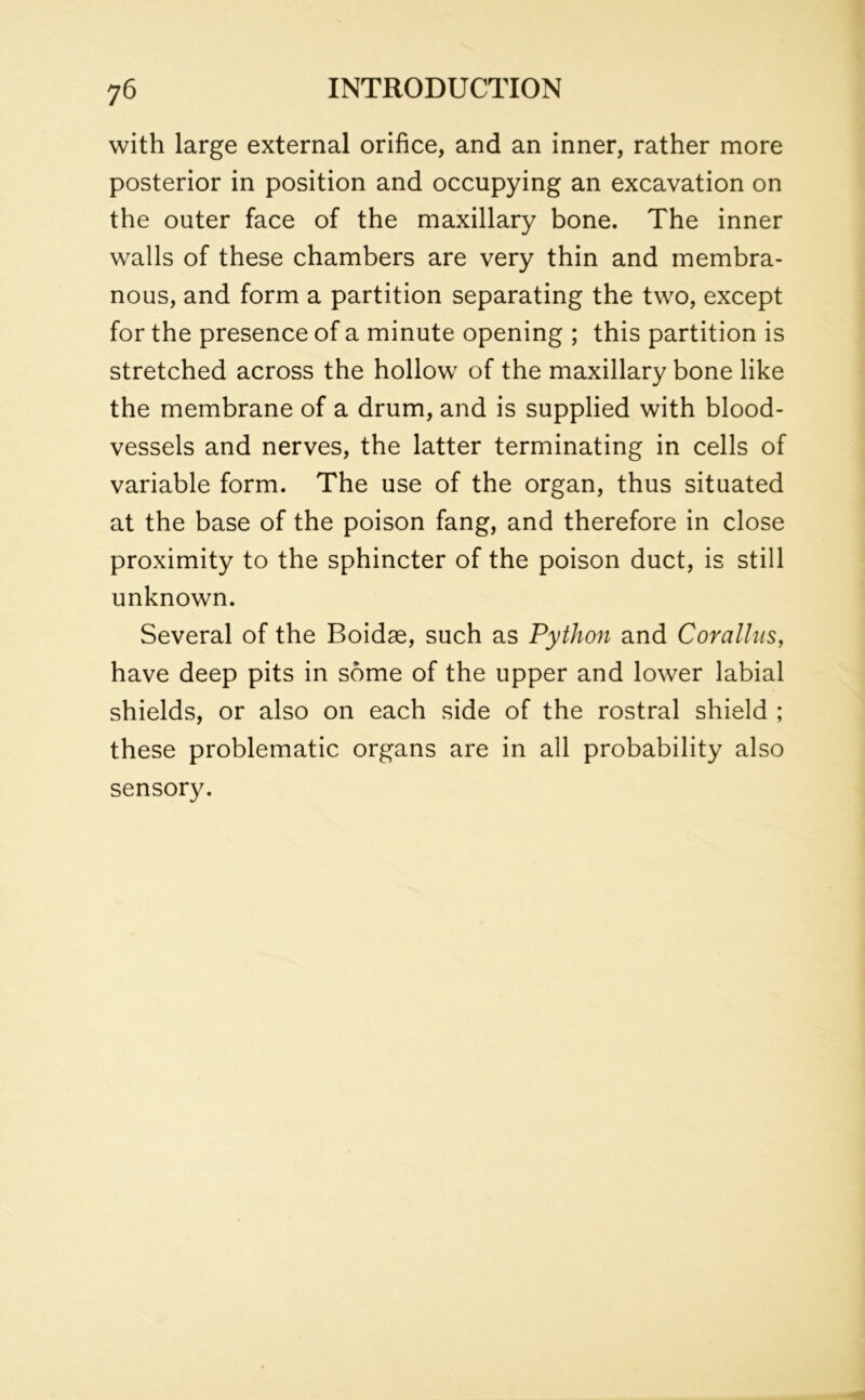 with large external orifice, and an inner, rather more posterior in position and occupying an excavation on the outer face of the maxillary bone. The inner walls of these chambers are very thin and membra- nous, and form a partition separating the two, except for the presence of a minute opening ; this partition is stretched across the hollow of the maxillary bone like the membrane of a drum, and is supplied with blood- vessels and nerves, the latter terminating in cells of variable form. The use of the organ, thus situated at the base of the poison fang, and therefore in close proximity to the sphincter of the poison duct, is still unknown. Several of the Boidae, such as Python and Cor alius, have deep pits in some of the upper and lower labial shields, or also on each side of the rostral shield ; these problematic organs are in all probability also sensory.