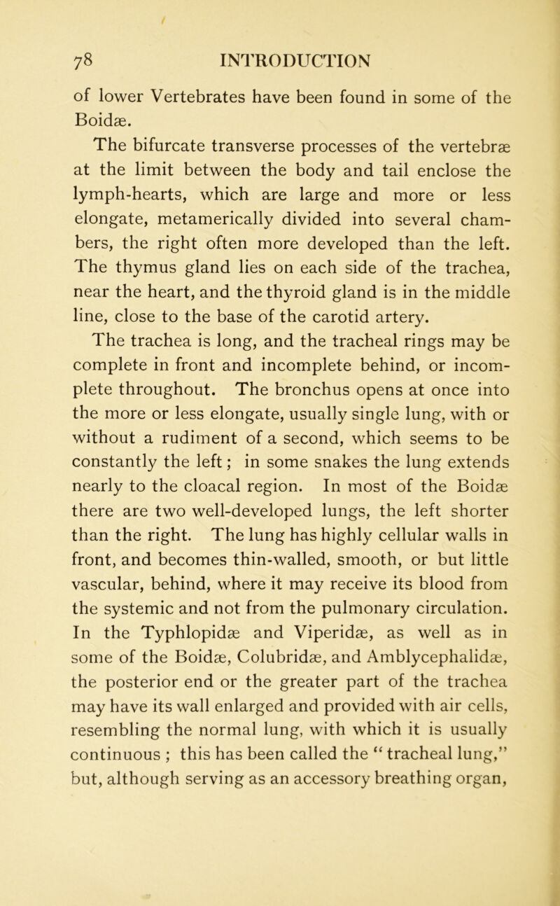 of lower Vertebrates have been found in some of the Boidae. The bifurcate transverse processes of the vertebrae at the limit between the body and tail enclose the lymph-hearts, which are large and more or less elongate, metamerically divided into several cham- bers, the right often more developed than the left. The thymus gland lies on each side of the trachea, near the heart, and the thyroid gland is in the middle line, close to the base of the carotid artery. The trachea is long, and the tracheal rings may be complete in front and incomplete behind, or incom- plete throughout. The bronchus opens at once into the more or less elongate, usually single lung, with or without a rudiment of a second, which seems to be constantly the left; in some snakes the lung extends nearly to the cloacal region. In most of the Boidae there are two well-developed lungs, the left shorter than the right. The lung has highly cellular walls in front, and becomes thin-walled, smooth, or but little vascular, behind, where it may receive its blood from the systemic and not from the pulmonary circulation. In the Typhlopidae and Viperidae, as well as in some of the Boidae, Colubridae, and Amblycephalidae, the posterior end or the greater part of the trachea may have its wall enlarged and provided with air cells, resembling the normal lung, with which it is usually continuous ; this has been called the “ tracheal lung,” but, although serving as an accessory breathing organ,