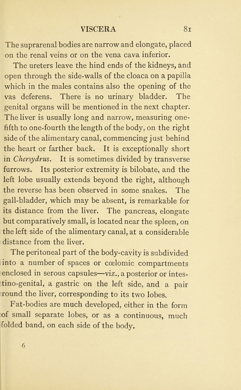 The suprarenal bodies are narrow and elongate, placed on the renal veins or on the vena cava inferior. The ureters leave the hind ends of the kidneys, and open through the side-walls of the cloaca on a papilla which in the males contains also the opening of the vas deferens. There is no urinary bladder. The genital organs will be mentioned in the next chapter. The liver is usually long and narrow, measuring one- fifth to one-fourth the length of the body, on the right side of the alimentary canal, commencing just behind the heart or farther back. It is exceptionally short in Chevsydrus. It is sometimes divided by transverse furrows. Its posterior extremity is bilobate, and the left lobe usually extends beyond the right, although the reverse has been observed in some snakes. The gall-bladder, which may be absent, is remarkable for its distance from the liver. The pancreas, elongate but comparatively small, is located near the spleen, on the left side of the alimentary canal, at a considerable distance from the liver. The peritoneal part of the body-cavity is subdivided into a number of spaces or ccelomic compartments enclosed in serous capsules—viz., a posterior or intes- tino-genital, a gastric on the left side, and a pair round the liver, corresponding to its two lobes. Fat-bodies are much developed, either in the form of small separate lobes, or as a continuous, much folded band, on each side of the body. 6