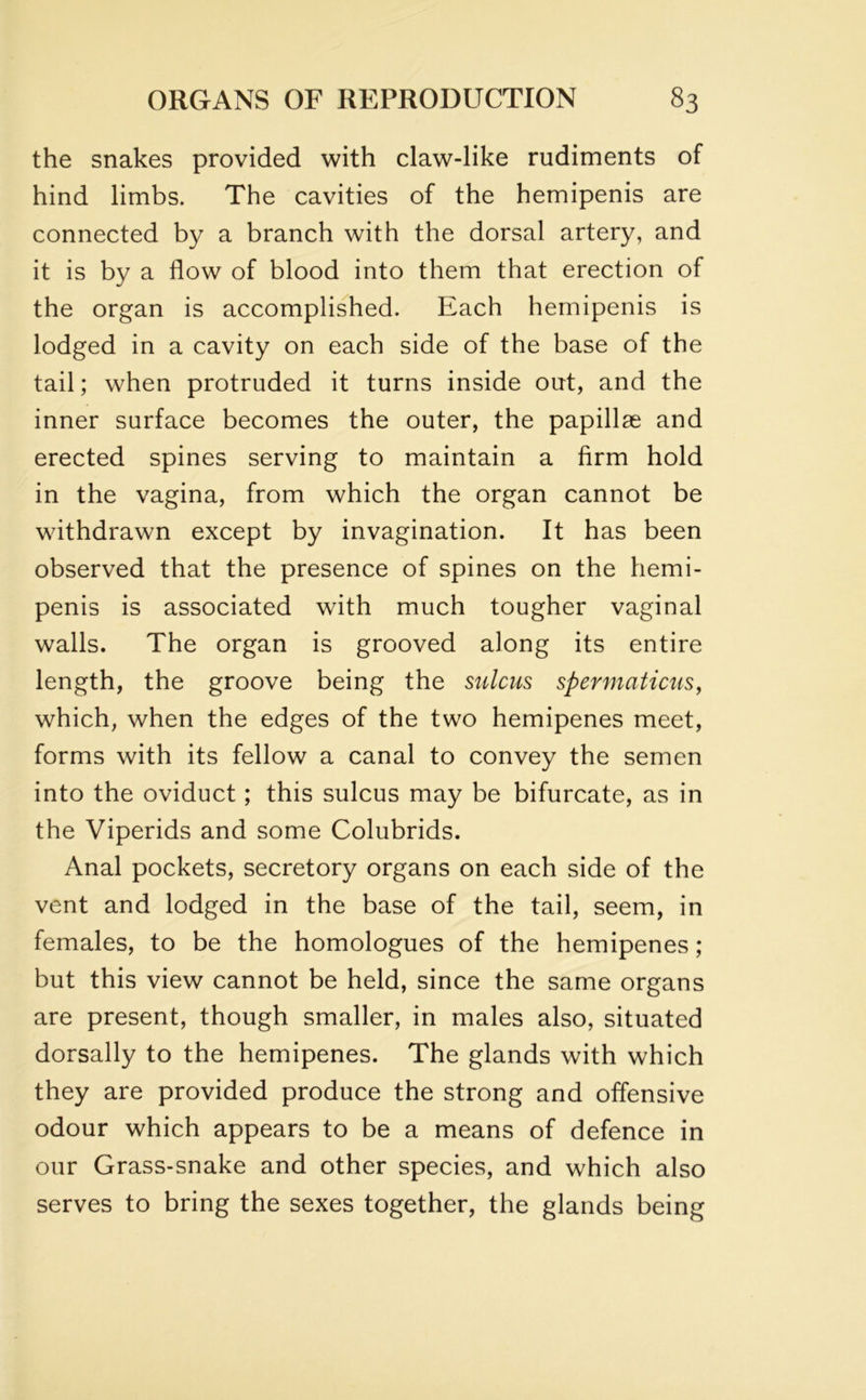 the snakes provided with claw-like rudiments of hind limbs. The cavities of the hemipenis are connected by a branch with the dorsal artery, and it is by a flow of blood into them that erection of the organ is accomplished. Each hemipenis is lodged in a cavity on each side of the base of the tail; when protruded it turns inside out, and the inner surface becomes the outer, the papillae and erected spines serving to maintain a firm hold in the vagina, from which the organ cannot be withdrawn except by invagination. It has been observed that the presence of spines on the hemi- penis is associated with much tougher vaginal walls. The organ is grooved along its entire length, the groove being the sulcus spermaticus, which, when the edges of the two hemipenes meet, forms with its fellow a canal to convey the semen into the oviduct; this sulcus may be bifurcate, as in the Viperids and some Colubrids. Anal pockets, secretory organs on each side of the vent and lodged in the base of the tail, seem, in females, to be the homologues of the hemipenes ; but this view cannot be held, since the same organs are present, though smaller, in males also, situated dorsally to the hemipenes. The glands with which they are provided produce the strong and offensive odour which appears to be a means of defence in our Grass-snake and other species, and which also serves to bring the sexes together, the glands being