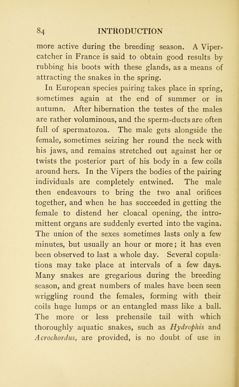 more active during the breeding season. A Viper- catcher in France is said to obtain good results by rubbing his boots with these glands, as a means of attracting the snakes in the spring. In European species pairing takes place in spring, sometimes again at the end of summer or in autumn. After hibernation the testes of the males are rather voluminous, and the sperm-ducts are often full of spermatozoa. The male gets alongside the female, sometimes seizing her round the neck with his jaws, and remains stretched out against her or twists the posterior part of his body in a few coils around hers. In the Vipers the bodies of the pairing individuals are completely entwined. The male then endeavours to bring the two anal orifices together, and when he has succeeded in getting the female to distend her cloacal opening, the intro- mittent organs are suddenly everted into the vagina. The union of the sexes sometimes lasts only a few minutes, but usually an hour or more; it has even been observed to last a whole day. Several copula- tions may take place at intervals of a few days. Many snakes are gregarious during the breeding season, and great numbers of males have been seen wriggling round the females, forming with their coils huge lumps or an entangled mass like a ball. The more or less prehensile tail with which thoroughly aquatic snakes, such as Hydrophis and Acrochordus, are provided, is no doubt of use in
