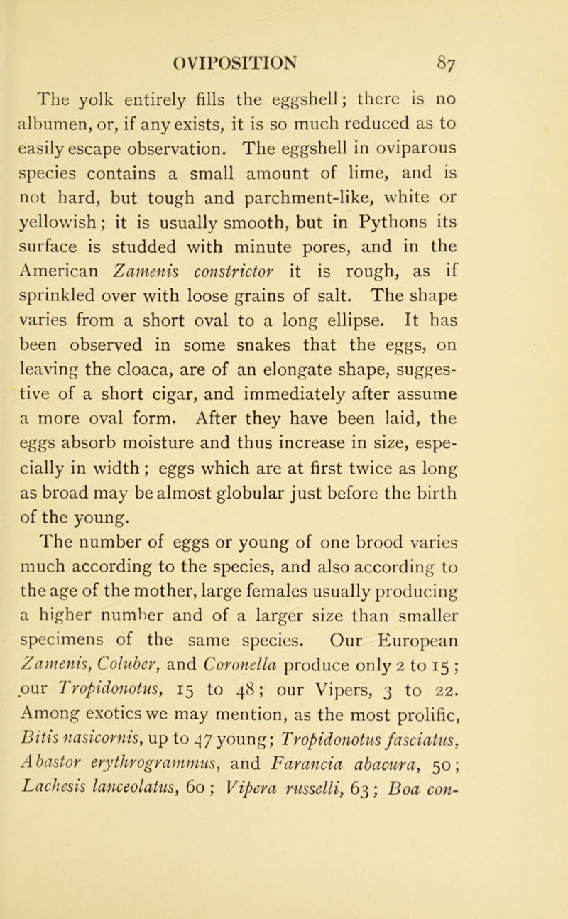 The yolk entirely fills the eggshell; there is no albumen, or, if any exists, it is so much reduced as to easily escape observation. The eggshell in oviparous species contains a small amount of lime, and is not hard, but tough and parchment-like, white or yellowish; it is usually smooth, but in Pythons its surface is studded with minute pores, and in the American Zamenis constrictor it is rough, as if sprinkled over with loose grains of salt. The shape varies from a short oval to a long ellipse. It has been observed in some snakes that the eggs, on leaving the cloaca, are of an elongate shape, sugges- tive of a short cigar, and immediately after assume a more oval form. After they have been laid, the eggs absorb moisture and thus increase in size, espe- cially in width ; eggs which are at first twice as long as broad may be almost globular just before the birth of the young. The number of eggs or young of one brood varies much according to the species, and also according to the age of the mother, large females usually producing a higher number and of a larger size than smaller specimens of the same species. Our European Zamenis, Coluber, and Coronella produce only 2 to 15 ; pur Tropidonotus, 15 to 48; our Vipers, 3 to 22. Among exotics we may mention, as the most prolific, Bitis nasicornis, up to -j7 young; Tropidonotus fasciatus, A bast or erythrogr animus, and Farancia abacura, 50 ; Lachesis lanceolatus, 60 ; Viper a russelli, 63; Boa con-