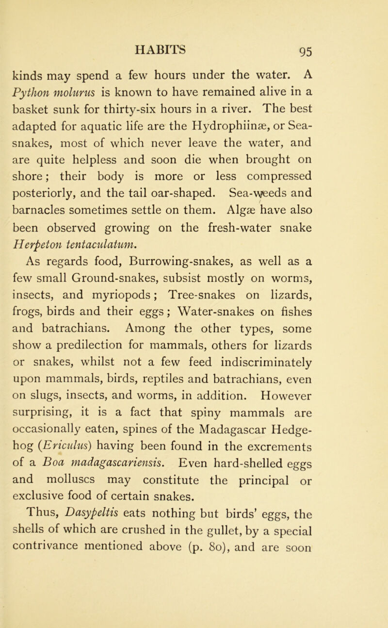 kinds may spend a few hours under the water. A Python molurus is known to have remained alive in a basket sunk for thirty-six hours in a river. The best adapted for aquatic life are the Hydrophiinse, or Sea- snakes, most of which never leave the water, and are quite helpless and soon die when brought on shore; their body is more or less compressed posteriorly, and the tail oar-shaped. Sea-weeds and barnacles sometimes settle on them. Algae have also been observed growing on the fresh-water snake Herpeton tentaculatum. As regards food, Burrowing-snakes, as well as a few small Ground-snakes, subsist mostly on worms, insects, and myriopods; Tree-snakes on lizards, frogs, birds and their eggs; Water-snakes on fishes and batrachians. Among the other types, some show a predilection for mammals, others for lizards or snakes, whilst not a few feed indiscriminately upon mammals, birds, reptiles and batrachians, even on slugs, insects, and worms, in addition. However surprising, it is a fact that spiny mammals are occasionally eaten, spines of the Madagascar Hedge- hog (Ericulus) having been found in the excrements of a Boa madagascariensis. Even hard-shelled eggs and molluscs may constitute the principal or exclusive food of certain snakes. Thus, Dasypeltis eats nothing but birds’ eggs, the shells of which are crushed in the gullet, by a special contrivance mentioned above (p. 80), and are soon