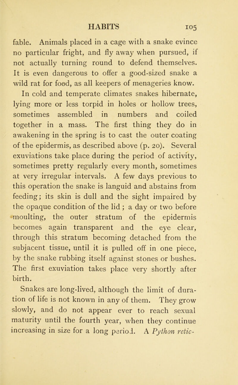 fable. Animals placed in a cage with a snake evince no particular fright, and fly away when pursued, if not actually turning round to defend themselves. It is even dangerous to offer a good-sized snake a wild rat for food, as all keepers of menageries know. In cold and temperate climates snakes hibernate, lying more or less torpid in holes or hollow trees, sometimes assembled in numbers and coiled together in a mass. The first thing they do in awakening in the spring is to cast the outer coating of the epidermis, as described above (p. 20). Several exuviations take place during the period of activity, sometimes pretty regularly every month, sometimes at very irregular intervals. A few days previous to this operation the snake is languid and abstains from feeding; its skin is dull and the sight impaired by the opaque condition of the lid ; a day or two before moulting, the outer stratum of the epidermis becomes again transparent and the eye clear, through this stratum becoming detached from the subjacent tissue, until it is pulled off in one piece, by the snake rubbing itself against stones or bushes. The first exuviation takes place very shortly after birth. Snakes are long-lived, although the limit of dura- tion of life is not known in any of them. They grow slowly, and do not appear ever to reach sexual maturity until the fourth year, when they continue increasing in size for a long period. A Python retie-