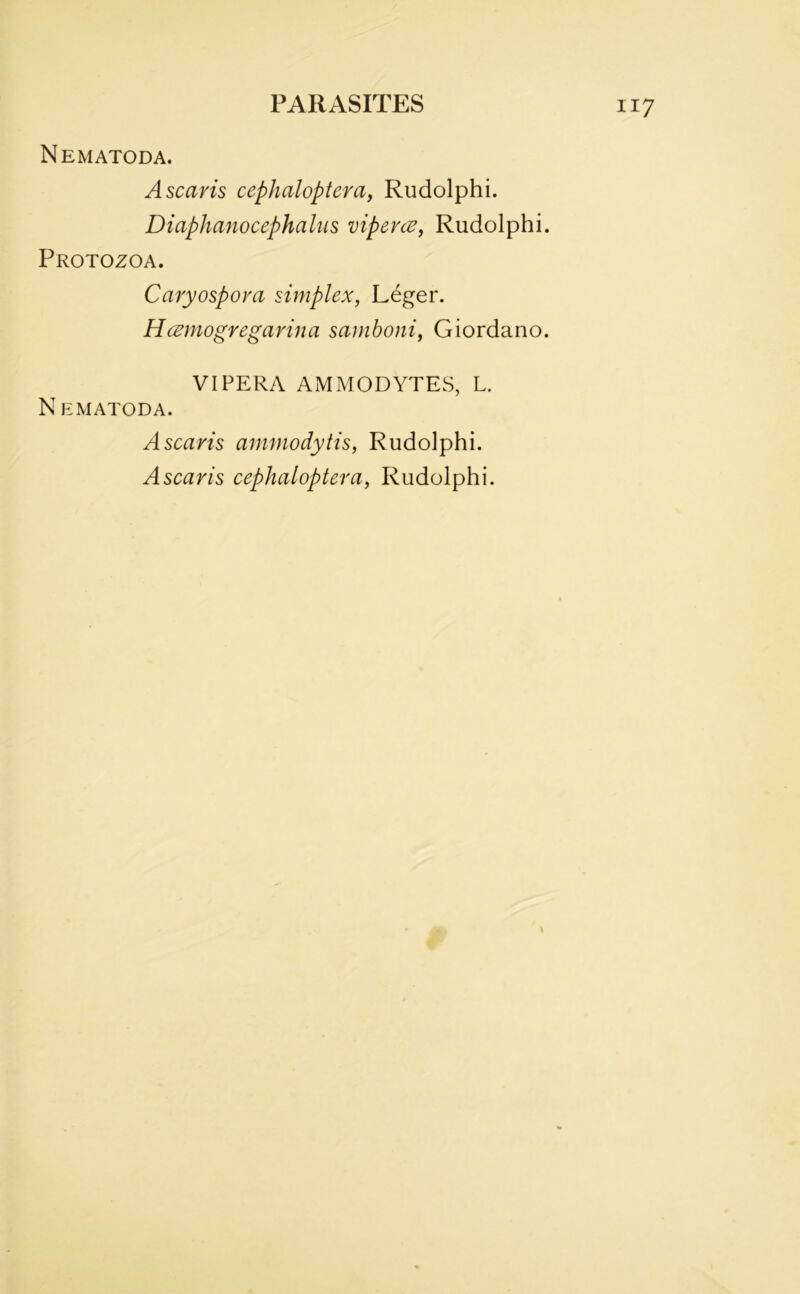 Nematoda. A scans cephaloptera, Rudolphi. Diaphanocephalus vipercz, Rudolphi. Protozoa. Caryospora simplex, L^ger. Hcemogregarina samboni, Giordano. VIPERA AMMODYTES, L. N EMATODA. A scans ammodytis, Rudolphi. A scan's cephaloptera, Rudolphi. 1