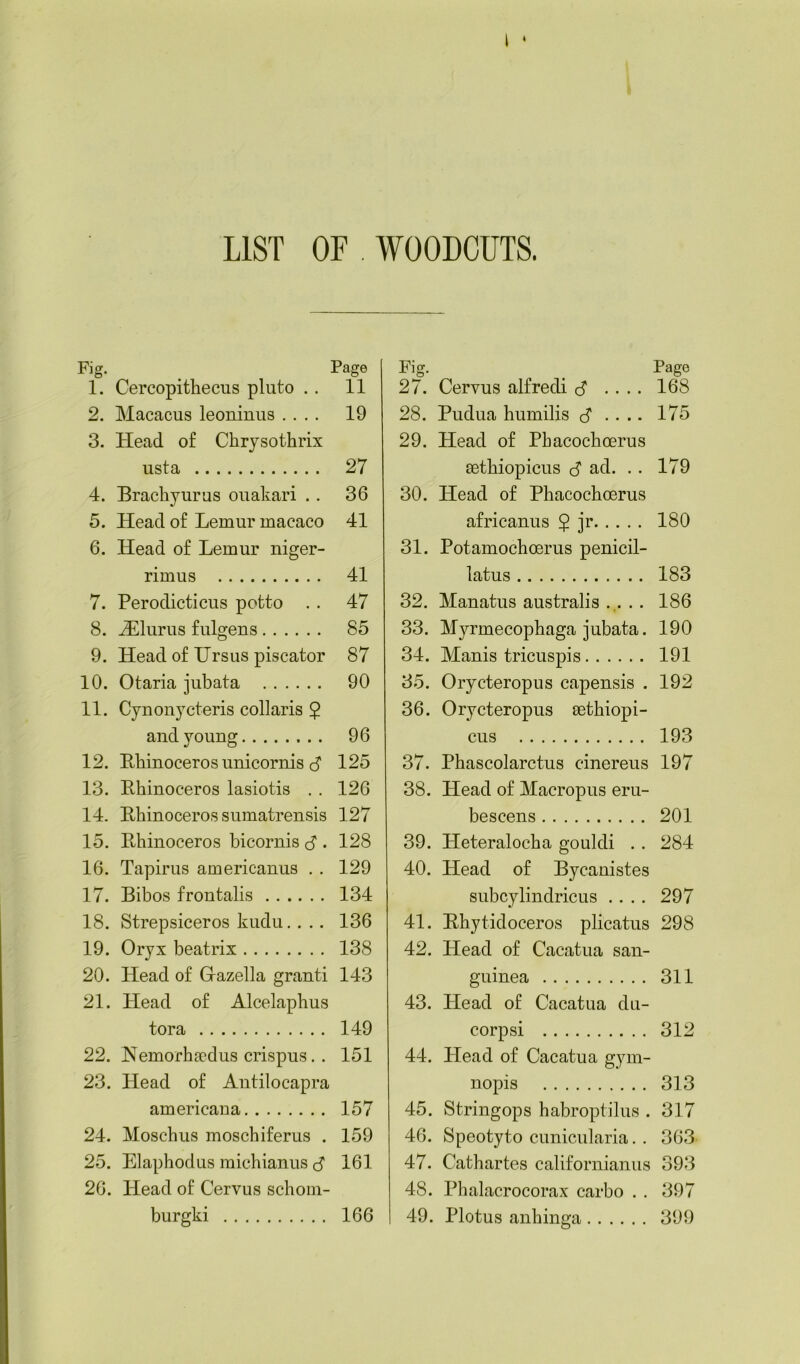 LIST OF . WOODCUTS. Fig. Page 1. Cercopithecus pluto .. 11 2. Macacus leoninus .... 19 3. Head of Chrysothrix usta 27 4. Brachyurus ouakari .. 36 5. Head of Lemur macaco 41 6. Head of Lemur niger- rimus 41 7. Perodicticus potto .. 47 8. iElurus fulgens 85 9. Head of Ursus piscator 87 10. Otaria jubata 90 11. Cynonycteris collaris 5 and young 96 12. Rhinoceros unicornis $ 125 13. Rhinoceros lasiotis . . 126 14. Rhinoceros sumatrensis 127 15. Rhinoceros bicornis . 128 16. Tapirus americanus . . 129 17. Bibos frontalis 134 18. Strepsiceros kudu. . .. 136 19. Oryx beatrix 138 20. Head of Grazella grant! 143 21. Head of Alcelaphus tora 149 22. JNemorhsedus crispus. . 151 23. Head of Antilocapra americana 157 24. Mosc-hus moschiferus . 159 25. Elaphodus michianus 161 26. Plead of Cervus schom- burgki Fig. Page 27. Cervus alfredi <p .... 168 28. Pudua humilis <S .... 175 29. Head of Phacochoerus sethiopicus J ad. .. 179 30. Head of Phacochoerus africanus $ jr 180 31. Potamochoerus penicil- latus 183 32. Manatus australis .... 186 33. Myrmecophaga jubata. 190 34. Manis tricuspis 191 35. Orycteropus capensis . 192 36. Orycteropus sethiopi- cus 193 37. Phascolarctus cinereus 197 38. Head of Macropus eru- bescens 201 39. Heteralocha gouldi . . 284 40. Head of Bycanistes subcylindricus .... 297 41. Rhytidoceros plicatus 298 42. Head of Cacatua san- guinea 311 43. Plead of Cacatua du- corpsi 312 44. Head of Cacatua gym- nopis 313 45. Stringops habroptilus . 317 46. Speotyto cunicularia. . 363 47. Cathartes californianus 393 48. Phalacrocorax carbo . . 397 49. Plotus anhinga 399 166