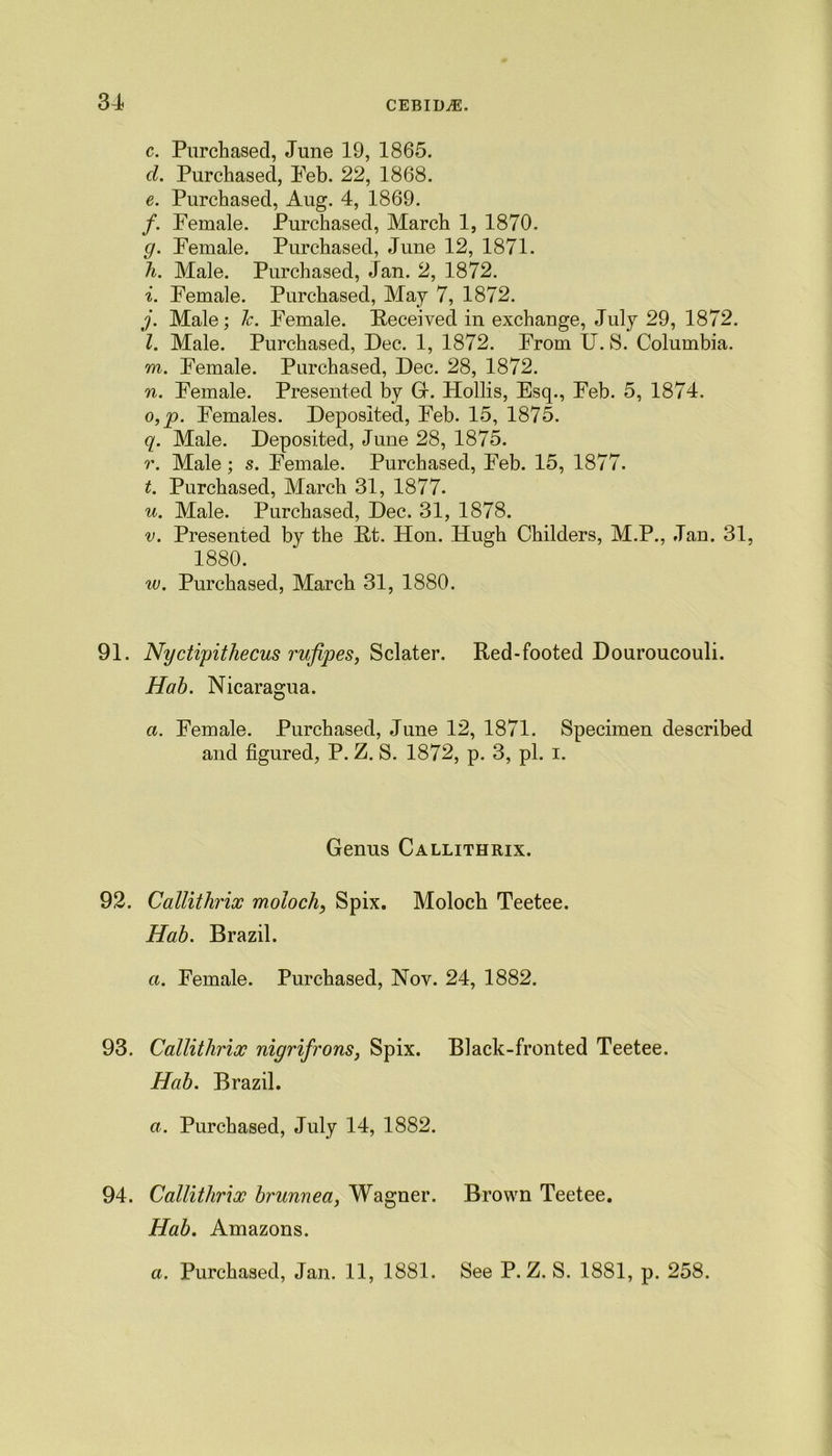 c. Purchased, June 19, 1865. d. Purchased, Peb. 22, 1868. e. Purchased, Aug. 4, 1869. /. Female. Purchased, March 1, 1870. g. Female. Purchased, June 12, 1871. h. Male. Purchased, Jan. 2, 1872. i. Female. Purchased, May 7, 1872. j. Male; h. Female. Received in exchange, July 29, 1872. l. Male. Purchased, Dec. 1, 1872. From U. S. Columbia. m. Female. Purchased, Dec. 28, 1872. n. Female. Presented by G. Hollis, Esq., Feb. 5, 1874. o. p. Females. Deposited, Feb. 15, 1875. q. Male. Deposited, June 28, 1875. r. Male; s. Female. Purchased, Feb. 15, 1877. t. Purchased, March 31, 1877. u. Male. Purchased, Dec. 31, 1878. v. Presented by the Rt. Hon. Hugh Childers, M.P., Jan. 31, 1880. w. Purchased, March 31, 1880. 91. Nyctipithecus rufipes, Sclater. Red-footed Douroucouli. Hab. Nicaragua. a. Female. Purchased, June 12, 1871. Specimen described and figured, P. Z. S. 1872, p. 3, pi. i. Genus Callithrix. 92. Callithrix moloch, Spix. Moloch Teetee. Hab. Brazil. a. Female. Purchased, Nov. 24, 1882. 93. Callithrix nigrifrons, Spix. Black-fronted Teetee. Hab. Brazil. a. Purchased, July 14, 1882. 94. Callithrix brunnea, Wagner. Brown Teetee. Hab. Amazons. a. Purchased, Jan. 11, 1881. See P. Z. S. 1881, p. 258.