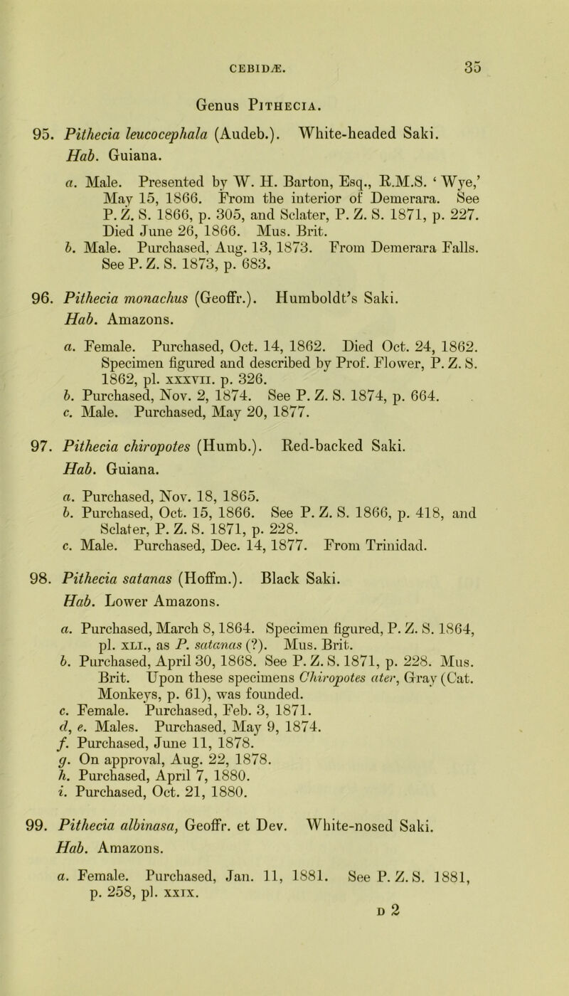 Genus Pithecia. 95. Pithecia leucocepliala (Audeb.). White-headed Saki. Hah. Guiana. a. Male. Presented by W. H. Barton, Esq., R.M.S. ‘ Wye,’ May 15, 1866. From the interior of Demerara. See P. Z. S. 1866, p. 305, and Sclater, P. Z. S. 1871, p. 227. Died June 26, 1866. Mus. Brit. h. Male. Purchased, Aug. 13, 1873. From Demerara Falls. See P.Z. S. 1873, p. 683. 96. Pithecia monachus (Geoffr.). Humboldt’s Saki. Hah. Amazons. a. Female. Purchased, Oct. 14, 1862. Died Oct. 24, 1862. Specimen figured and described by Prof. Flower, P. Z. S. 1862, pi. xxxyii. p. 326. b. Purchased, Nov. 2, 1874. See P. Z. S. 1874, p. 664. c. Male. Purchased, May 20, 1877. 97. Pithecia chiropotes (Humb.). Red-backed Saki. Hah. Guiana. a. Purchased, Nov. 18, 1865. b. Purchased, Oct. 15, 1866. See P. Z. S. 1866, p. 418, and Sclater, P. Z. S. 1871, p. 228. c. Male. Purchased, Dec. 14, 1877. From Trinidad. 98. Pithecia sat anas (Hoffm.). Black Saki. Hah. Lower Amazons. a. Purchased, March 8,1864. Specimen figured, P. Z. S. 1864, pi. xli., as P. satancis (?). Mus. Brit. b. Purchased, April 30, 1868. See P. Z. S. 1871, p. 228. Mus. Brit. Upon these specimens Chiropotes ater, Gray (Cat. Monkeys, p. 61), was founded. c. Female. Purchased, Feb. 3, 1871. cl, e. Males. Purchased, May 9, 1874. /. Purchased, June 11, 1878. g. On approval, Aug. 22, 1878. h. Purchased, April 7, 1880. i. Purchased, Oct. 21, 1880. 99. Pithecia albinasa, Geoffr. et Dev. White-nosed Saki. Hab. Amazons. a. Female. Purchased, Jan. 11, 1881. See P. Z. S. 1881, p. 258, pi. xxix. d 2