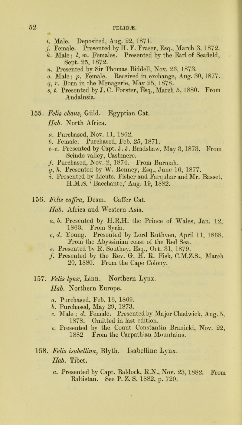 i. Male. Deposited, Aug. 22, 1871. j. Female. Presented by H. F. Fraser, Esq., March 3, 1872. k. Male; Z, m. Females. Presented by the Earl of Seafield, Sept. 25, 1872. n. Presented by Sir Thomas Biddell, Nov. 26, 1873. o. Male; p. Female. Received in exchange, Aug. 30,1877. q, r. Born in the Menagerie, May 25, 1878. s, t. Presented by J. C. Forster, Esq., March 5,1880. From Andalusia. 155. Felis chaus, Giild. Egyptian Cat. Hab. North Africa. a. Purchased, Nov. 11, 1862. b. Female. Purchased, Feb. 25, 1871. c-e. Presented by Capt. J. J. Bradshaw, May 3,1873. From Scinde valley, Cashmere. /. Purchased, Nov. 2, 1874. From Burmah. g, h. Presented by W. Renney, Esq., June 16, 1877. i. Presented by Lieuts. Fisher and Farquhar and Mr. Basset, H.M.S. ‘ Bacchante,’ Aug. 19, 1882. 156. Felis caffra, Desrn. Caffer Cat. Hab. Africa and Western Asia. a, b. Presented by H.R.H. the Prince of Wales, Jan. 12, 1863. From Syria. c. cl. Young. Presented by Lord Ruthven, April 11, 1868. From the Abyssinian coast of the Red Sea. e. Presented by R. Southey, Esq., Oct. 31, 1879. /. Presented by the Rev. Gr. H. R. Fisk, C.M.Z.S., March 20, 1880. From the Cape Colony. 157. Felis lynx, Linn. Northern Lynx. Hab. Northern Europe. a. Purchased, Feb. 16, 1869. b. Purchased, May 29, 1873. c. Male ; cl. Female. Presented by Major Chadwick, Aug. 5, 1878. Omitted in last edition. e. Presented by the Count Constantin Branicki, Nov. 22, 1882 From the Carpathian Mountains. 158. Felis isabellina, Blyth. Isabclline Lynx. Hab. Tibet. a. Presented by Capt. Baldock, R.N., Nov. 23,1882. From Baltistan. See P. Z. S. 1882, p. 720.