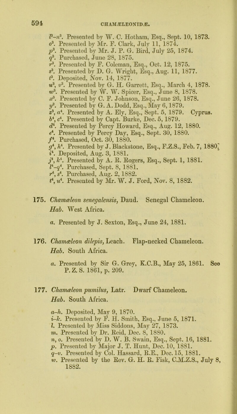 P-ns. Presented by W. C. Hothara, Esq., Sept. 10, 1873. o3. Presented by Mr. E. Clark, July 11, 1874. p3. Presented by Mr. J. P. G. Bird, July 25, 1874. <f. Purchased, June 28, 1875. r3. Presented by E. Coleman, Esq., Oct. 12, 1875. s3. Presented by D. G. Wright, Esq., Aug. 11, 1877. t3. Deposited, Nov. 14, 1877. u3, v3. Presented by G. H. Garrett, Esq., March 4, 1878. w3. Presented by W. W. Spicer, Esq., June 8, 1878. x3. Presented by C. E. Johnson, Esq., June 26, 1878. y3. Presented by G. A. Dodd, Esq., May 6,1879. z3, ci4. Presented by A. Ely, Esq., Sept. 5, 1879. Cyprus. 64, c4. Presented by Capt. Burke, Dec. 5,1879. cl4. Presented by Percy Howard, Esq., Aug. 12, 1880. e4. Presented by Percy Day, Esq., Sept. 30, 1880. f4. Purchased, Oct. 30, 1880. g4, h4. Presented by J. Blackstone, Esq., E.Z.S., Feb. 7, 1880i i4. Deposited, Aug. 3, 1881. j4, lc4. Presented by A. R. Rogers, Esq., Sept. 1, 1881. Z4-^4. Purchased, Sept. 8, 1881. r4, s4. Purchased, Aug. 2,1882. t4, u4. Presented by Mr. W. J. Ford, Nov. 8, 1882. 175. Chamcdeon senegalensis, Daud. Senegal Chameleon. Hab. West Africa. a. Presented by J. Sexton, Esq., June 24, 1881. 176. Chamceleon dilepis,hea.ch. Flap-necked Chameleon. Hab. South Africa. a. Presented by Sir G. Grey, K.C.B., May 25, 1861. See P. Z. S. 1861, p. 209. 177. Chamceleon pumilus, ~La.tr. Dwarf Chameleon. Hab. South Africa. a-h. Deposited, May 9, 1870. i-Jc. Presented by E. H. Smith, Esq., June 5, 1871. l. Presented by Miss Siddons, May 27, 1873. m. Presented by Dr. Reid, Dec. 8, 1880. n. o. Presented by D. W. B. Swain, Esq., Sept. 16, 1881. p. Presented by Major J. T. Hunt, Dec. 10, 1881. q-v. Presented by Col. Hassard, R.E., Dec. 15, 1881. w. Presented by the Rev. G. H. R. Fisk, C.M.Z.S., July 8, 1882.