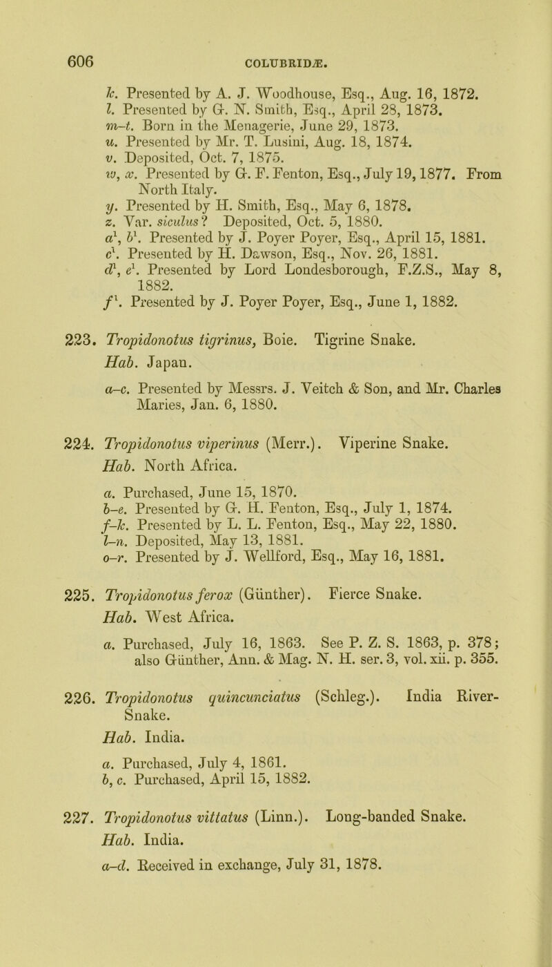 Jc. Presented by A. J. Woodhouse, Esq., Aug. 16, 1872. 1. Presented by G. N. Smith, Esq., April 28, 1873. m-t. Born in the Menagerie, June 29, 1873. u. Presented by Mr. T. Lusini, Aug. 18, 1874. v. Deposited, Oct. 7, 1875. vj, x. Presented by G. E. Fenton, Esq., July 19,1877. From North Italy. y. Presented by H. Smith, Esq., May 6, 1878. z. Yar. siculus ? Deposited, Oct. 5, 1880. a1, b1. Presented by J. Poyer Poyer, Esq., April 15, 1881. cl. Presented by H. Dawson, Esq., Nov. 26, 1881. d1, e1. Presented by Lord Londesborough, F.Z.S., May 8, 1882. fl. Presented by J. Poyer Poyer, Esq., June 1, 1882. 223. Tropidonotus tigrinus, Boie. Tigrine Snake. Hab. Japan. a-c. Presented by Messrs. J. Yeitch & Son, and Mr. Charles Maries, Jan. 6, 1880. 224. Tropidonotus viperinus (Merr.). Yiperine Snake. Hab. North Africa. a. Purchased, June 15, 1870. b-e. Presented by Gr. H. Fenton, Esq., July 1, 1874. f-Ic. Presented by L. L. Fenton, Esq., May 22, 1880. l-n. Deposited, May 13, 1881. o-r. Presented by j. Wellford, Esq., May 16, 1881. 225. Tropidonotusferox (Gunther). Fierce Snake. Hab. West Africa. a. Purchased, July 16, 1863. See P. Z. S. 1863, p. 378; also Giinther, Ann. & Mag. N. H. ser. 3, vol. xii. p. 355. 226. Tropidonotus quincunciatus (Schleg.). India River- Snake. Hab. India. а. Purchased, July 4, 1861. б, c. Purchased, April 15, 1882. 227. Tropidonotus vittatus (Linn.). Long-banded Snake. Hab. India. a-d. Received in exchange, July 31, 1878.