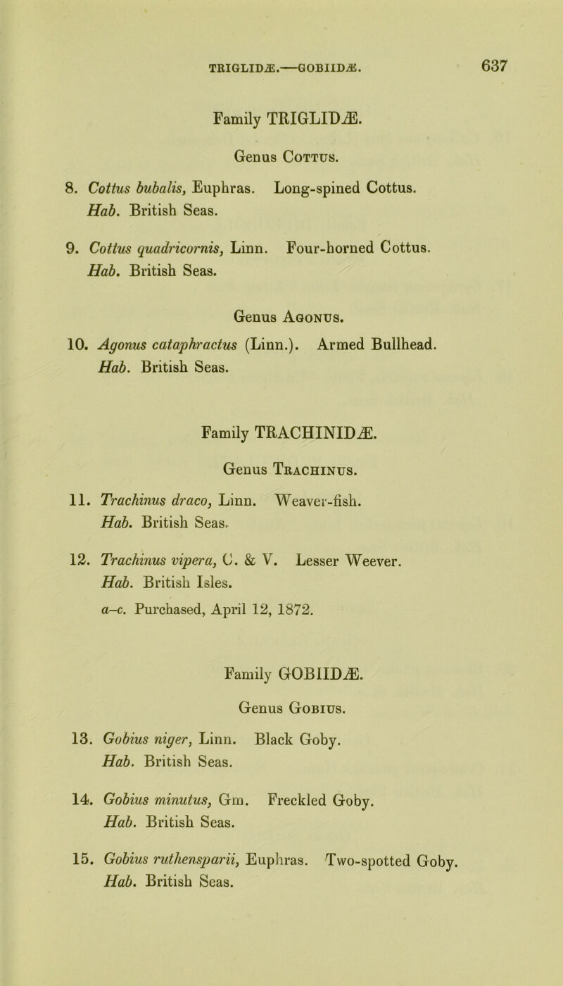 Family TRIGLIDiE. Genus Cottus. 8. Cottus bubalis, Euphras. Long-spined Cottus. Hab. British Seas. 9. Cottus quadricornis, Linn. Four-horned Cottus. Hab. British Seas. Genus Agonus. 10. Agonus cataphractus (Linn.). Armed Bullhead. Hab. British Seas. Family TRACHINIDiE. Genus Trachinus. 11. Trachinus draco, Linn. Weaver-fish. Hab. British Seas. 12. Trachinus vipera, C. & V. Lesser Weever. Hab. British Isles. a-c. Purchased, April 12, 1872. Family GOBIIDiE. Genus Gobius. 13. Gobius niger, Linn. Black Goby. Hab. British Seas. 14. Gobius minutus, Gm. Freckled Goby. Hab. British Seas. 15. Gobius ruthensparii, Euphras. Two-spotted Goby.