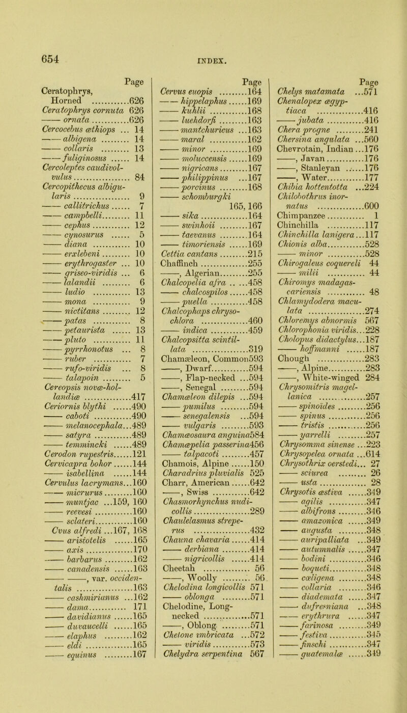 Ceratophrys, Page Cervus euopis Page | ..164 ] Chelys matamata .. Honied .626 hippelaphus.... ..169 Chenalopex cegyp- Ceratophrys cornuta ornata 626 Jcuhlii ..168 tiaca .626 luehdorfi ..163 jubata, Cercocebus cethiops . . 14 mantchuricus ..163 Cher a progne albigena . 14 maral ..162 Chersina angidata .. collaris . 13 minor ..169 Chevrotain, Indian.. fuliginosus .... . 14 moluccensis ... ..169 , Javan Cercoleptes caudivol- nigricans ..167 , Stanley an vulus .. 84 philippinus ..167 , Water Cercopithecus albigu- porcinus ..168 Chibia hottentotta .. laris .. 9 schomburqki Chilobothrus inor- callitrichus .. 7 165. 166 natus campbelli .. 11 sika ..164 Chimpanzee cephus .. 12 swinhoii ..167 Chinchilla cynosurus .. 5 taevanus ..164 Chinchilla lanigera.. diana .. 10 timoriensis ... ..169 Chionis alba erxlebeni .. 10 Cettia cantans ..215 minor erytlirogaster . .. 10 Chaffinch ..255 Chirogaleus coguereli griseo-viridis . lalandii .. 6 , Algerian ..255 milii .. 6 Chalcopelia aj'ra .. ..458 Chiromys madagas- ludio .. 13 chalcospilos ... ..458 cariensis mona .. 9 puella ..458 Chlamydodera macu- la t a nictitans .. 12 Chalcophaps chryso- patas .. 8 chlora ..460 Chloremys abnormis petaurista .. 13 indica ..459 Chlorophonia viridis.. phdo .. 11 Chalcopsitta scintil- Cholopus didactylus. pyrrhonotus . .. 8 lata ...319 hoffrnanni • ruber .. 7 Chamaeleon, Common593 Chough rufo-viridis .. 8 , Dwarf ...594 — , Alpine talapoin .. 5 , Flap-necked ...594 , White-winged Chrysomitris magel- Cereopsis novce-hol- , Senegal ...594 land,ice ..417 Chamceleon dilepis ...594 lanica Ceriornis blythi ..490 pumilus ...594 spinoides caboti ..490 senegalensis ...594 spin us • melanocephala. ..489 vulgaris ...593 tristis satyra ..489 Chamceosaura anguina5S4: yarrelli .416 .416 .176 44 44 .274 567 284 temmincki 489 Cerodon rupestris 121 Cervicapra bohor 144 isabellina 144 Cervulus lacrymans... 160 micrurus ... 160 mun tjac ... 159, 160 reevesi 160 sclateri 160 Cvus alfredi ...167, 168 aristotelis 165 axis 170 barbarus 162 canadensis 163 , var. occiden- tals 163 cashnirianus ...162 dama 171 davidianus 165 duvaucelli 165 elaphus 162 eldi 165 equinus 167 Chamcepelia passerina±b§ talpacoti 457 Chamois, Alpine 150 Charadrins pluvialis 525 Charr, American 642 , Swiss 642 Chasmorhynchus nudi- collis 289 Chaulelasmus strepe- rus 432 Chauna chavaria 414 derbiana 414 nigricollis 414 Cheetah 56 , Woolly 56 Chelodina longicollis 571 oblong a 571 Chelodine, Long- necked 571 , Oblong 571 Chet one imbricata ...572 viridis 573 Chelydra serpentina 567 Chrysomma sinense ...223 Chrysopelea ornata ...614 Chrysothrix oerstedi... 27 sciurea 26 usta 28 Chrysofts (estiva 3-19 agilis 347 albifrons 3-16 amazonica 349 augusta 348 auripalliata ... 349 autumnalis 347 bodini 346 boqueti 348 coeligena 348 collar ia 346 diademata 347 * dufresniana ...348 erythrura 347 farinosa 349 festiva 345 finschi 347 guatemalce 349