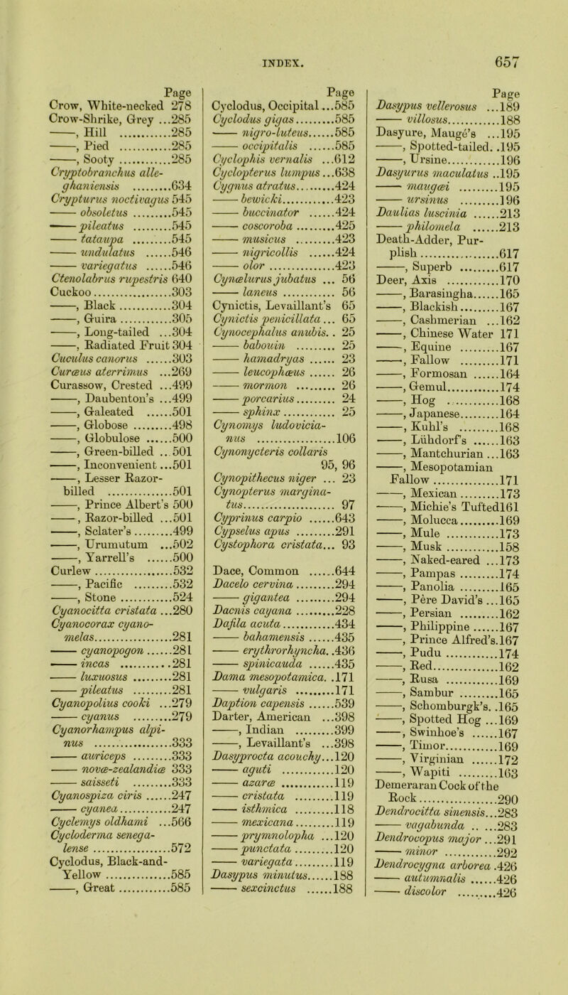 Page Crow, White-necked 278 Crow-Shrike, Grey ...285 , Hill 285 , Pied 285 , Sooty 285 Cryptobranchus allc- ghaniensis 634 Grypturus nocti vagus 545 obsoletus 545 pileatus 545 tataxipa ....545 undulatus 546 variegatus 546 Ctenolabrus rupestris 640 Cuckoo 303 , Black 304 , Guira 305 , Long-tailed ...304 , Radiated Fruit 304 Cuculus canorus 303 Cur celts aterrimus ...269 Curassow, Crested ...499 ■ , Daubenton’s ...499 , Galeated 501 , Globose 498 , Globulose 500 , Green-billed .. 501 , Inconvenient ...501 , Lesser Razor- billed 501 , Prince Albert's 500 , Razor-billed ...501 , Sclater’s 499 , Urumutum ...502 , Yarrell’s 500 Curlew 532 , Pacific 532 • , Stone 524 Cyanocitta cristata ...280 Cyanocorax cyano- melas 281 cyanopogon 281 incas 281 • luxuosus 281 • pileatus 281 Cyanopolius cooki ...279 cyanus 279 Cyanorkampus alpi- nus 333 auriceps 333 novce-zealandice 333 saisseti 333 Cyanospiza ciris 247 cyanea 247 Cyclernys oldhami ...566 Cycloderma senega- lense 572 Cyclodus, Black-and- Yellow 585 , Great 585 Page Cyclodus, Occipital ...585 Cyclodus gig as 585 nigro-luteus 585 occipitalis 585 Cyclophis vernalis ...612 Cyclopterus lumpus ...638 Cygnus atratus 424 bewicki 423 buccinator 424 coscoroba 425 musicus 423 nigricollis 424 olor 423 Cyncelurusjubatus ... 56 laneus 56 Cynictis, Levaillant’s 65 Cynictis penicillata... 65 Cynoccphalus anubis. . 25 babouin 25 hamadryas 23 leucophatus 26 mormon 26 porcarius 24 sphinx 25 Cynomys ludovicia- nus 106 Cynonycteris collaris 95, 96 Cynopithecus niger ... 23 Cynopterus maryina- tus 97 Cyprinus carpio 643 Cypselus apus 291 Cystophora crist at a... 93 Dace, Common 644 Dacelo cervina 294 gigantea 294 Bacnis cay ana 228 Dafila acuta 434 bahamensis 435 erythrorhyncha. .436 spinicauda 435 Bama mesopotarnica. .171 vulgaris 171 Baption capensis 539 Darter, American ...398 , Indian 399 , Levaillant’s ...398 Basyprocta acouchy.. .120 aguti 120 azarce 119 cristata 119 isthmica 118 mexicana 119 prymnolopha ...120 punctata 120 variegata 119 Basypus minutus 188 sexcinctus 188 Page Basypus vellerosus ... 189 villosus 188 Dasyure, Mauge’s ...195 , Spotted-tailed. .195 , Ursine 196 Basyurus maculatus ..195 maugcei 195 ur sinus ]96 Baulias luscinia 213 philomela 213 Death-Adder, Pur- plish 617 , Superb 617 Deer, Axis 170 , Barasingha 165 , Blackish 167 , Cashmerian ...162 , Chinese Water 171 , Equine 167 , Fallow 171 , Formosan 164 • , Gemul 174 , Hog 168 , Japanese 164 , Kuhl’s 168 , Liihdorfs 163 , Mantchurian ...163 , Mesopotamian Fallow 171 , Mexican 173 , Michie’s Tuftedl61 , Molucca 169 , Mule 173 , Musk 158 , Nakecl-eared ...173 , Pampas 174 , Panolia 165 , Pere David’s ...165 , Persian 162 , Philippine 167 ——, Prince Alfred’s. 167 , Pudu 174 , Red 162 , Rusa 169 , Sambur 165 , Schomburgk’s. .165 , Swinhoe’s 167 , Timor 169 , Virginian 172 , Wapiti 163 Demeraran Cock of the Pock.. 290 Bendrocitta sinensis...283 vagabunda 283 Bendrocopus major ...291 minor 292 Bendrocygna arborea .426 autumnalis 426 discolor 426