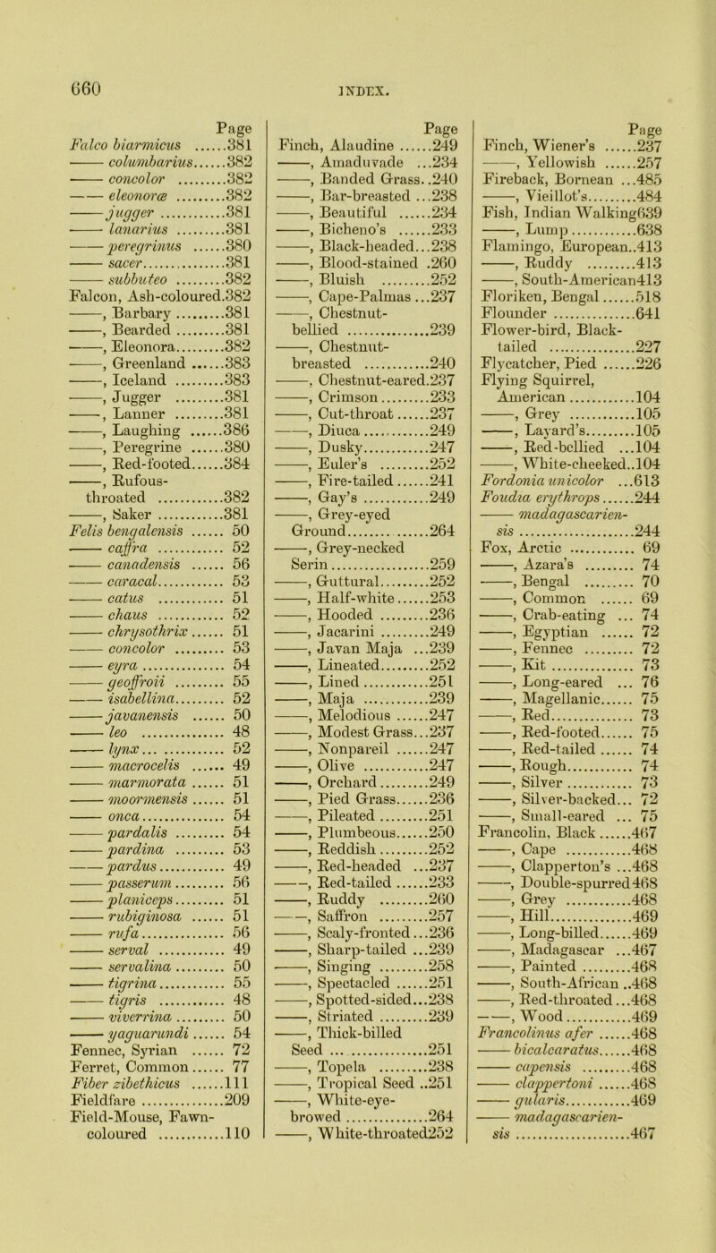 Falco biarmicus ... Page ...381 columbarius.... ...382 concolor ...382 eleonorce ...382 Jugger ...381 lanarius ..381 peregrinus 380 sacer ..381 subbuteo ..382 Falcon, Ash-coloured.382 , Barbary ..381 , Bearded ..381 , Eleonora ..382 , Greenland .... ..383 , Iceland ..383 , Jigger ..381 , Banner ..381 , Laughing .... ..386 , Peregrine ..380 , Red-footed.... ..384 , Rufous- throated ..382 , Saker ..381 Felts bengalensis .... .. 50 cajfra .. 52 —— canadensis .. 56 caracal .. 53 catns .. 51 chaus .. 52 chrysothrix .. 51 concolor .. 53 eyra .. 54 geoffroii .. 55 isabellina .. 52 javanensis .. 50 leo .. 48 lynx .. 52 macrocelis .... .. 49 marmorata .. 51 moormensis .. 51 onca .. 54 par dolls .. 54 pardina .. 53 pardus 49 passerum planiceps .. 51 rubiginosa .. 51 rnfa .. 56 serval .. 49 servalina .. 50 tigrina .. 55 tigris 48 viverrina yaguarundi .... ... 54 Fennec, Syrian — .. 72 Ferret, Common.... .. 77 Fiber zibethicus .... ..111 Fieldfare ..209 Field-Mouse, Fawn- coloured ..110 Page Finch, Alaudine 249 , Amaduvade ...234 , Banded Grass. .240 , Bar-breasted ...238 , Beautiful 234 , Bicbeno’s 233 , Black-beaded...238 , Blood-stained .260 , Bluish 252 , Cape-Palmas ...237 , Chestnut- bellied 239 , Chestnut- breasted 240 , Chestnut-eared.237 , Crimson 233 , Cut-throat 237 , Diuca 249 , Dusky 247 , Euler’s 252 , Fire-tailed 241 , Gay’s 249 , Grey-eyed Ground 264 , Grey-necked Serin 259 , Guttural 252 , Half-white 253 , Hooded 236 , Jacarini 249 , Javan Maja ...239 , Lineated 252 , Lined 251 , Maja 239 , Melodious 247 , Modest Grass.. .237 , Nonpareil 247 , Olive 247 , Orchard 249 , Pied Grass 236 , Pileated 251 , Plumbeous 250 , Reddish 252 , Red-headed ...237 , Red-tailed 233 , Ruddy 260 , Saffron 257 , Scaly-fronted...236 , Sharp-tailed ...239 , Singing 258 , Spectacled 251 , Spotted-sided...238 , Striated 239 , Thick-billed Seed ... 251 , Topela 238 , Tropical Seed ..251 , White-eye- browed 264 , White-throated252 Page Finch, Wiener’s 237 , Yellowish 257 Fireback, Bornean ...485 , Vieillot’s 484 Fish, Indian Walking639 , Lump 638 Flamingo, European..413 , Ruddy 413 , South-Ameriean413 Floriken, Bengal Flounder ..641 Flower-bird, Black- tailed ..227 Flycatcher, Pied ..226 Flying Squirrel, American ..104 > Grey ..105 . Bayard’s ..105 , Red-bellied .. ..104 , White-cheeked ..104 Fordonia unicolor .. .613 Foudia erythrops .244 madagascarien- sis .244 Fox, Arctic .. 69 , Azara’s . 74 , Bengal . 70 , Common . 69 , Crab-eating .. . 74 , Egyptian . 72 , Fennec . 72 , Kit . 73 , Long-eared .. . 76 , Magellanic . 75 , Reef. . 73 , Red-footed . 75 , Red-tailed . 74 , Rough . 74 , Silver . 73 , Silver-backed.. . 72 , Small-eared .. Francolin, Black . 75 .467 , Cape .468 , Clapperton’s .. .468 , Double-spurred 46S » Grey .468 , Hill .469 , Long-billed .469 , Madagascar .. .467 , Painted .468 , South-African . .468 , Red-throated.. .468 , Wood .469 Francolinus afer .468 bicalcaratus .468 capensis .468 clappertoni .468 gularis .469 madagascarien- sis .467