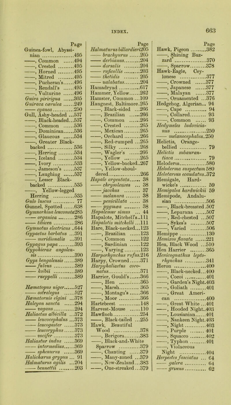 Page Guinea-fowl, Abyssi- nian 495 , Common 494 , Crested 495 , Horned 495 , Mitred 495 , Pucheran’s 496 , Rendall’s 495 , Yulturine 496 Guira piririgua 305 Guircica ccerulea 249 cyanea 250 Gull, Ashy-headed ...537 , Black-headed...537 , Common 536 , Dominican 536 , Glaucous 534 , Greater Black- backed 536 , Herring 534 , Iceland 534 , Ivoi'y 533 , Jameson’s 537 , Laughing 537 , Lesser Black- backed 535 , Yellow-legged Herring 535 Gxdo luscus 77 Gunnel, Spotted 638 Gymnorhina leuconota'285 organic a 286 tibicen 286 Gymnotus electricus ..644 Gypaetus barbatns ...391 meridionalis ...391 Gypagus papa 393 Gypohierax anqolen- sis 390 Gyps bengalensis 389 fulvus 389 kolbii 389 rucppelli 389 Hcematopus niger 527 ostralegus 527 Hcematornis elgini ...378 Halcyon sancta 294 pagans 294 Haliaetus albicilla ...372 leucocephalus ...373 leucogaster 373 leucoryphus 373 vocifer 373 Haliastur indus 369 intermedins 369 sphenurus 369 Halichoerus grypus ... 91 Halmaturus agilis ... 204 bennettii 203 Page Halmaturus billardieri'205 brachyurus 205 derbianus 204 dorsalis 204 ruficollis 203 thetidis 205 ualabatus 204 Hamadryad 617 Hammer, Yellow 262 Hamster, Common ...109 Hangnest, Baltimore.265 , Black-sided ...266 , Brazilian 266 , Common 266 , Crested 265 , Mexican 265 , Orchard 266 , Red-rumped ...265 , Silky 268 , Wagler’s 266 , Yellow 265 , Yellow-backed..267 , Yellow-shoul- dered 266 Hapale argentata 38 chrysoleucos ... 38 jacchus 37 melanura 38 penicillata 38 pygmaa 38 Hapalemur simus ... 44 Hapalote, Mitchell’s..Ill Hapalotis mitchelli ... 111 Hare, Black-necked... 123 , Brazilian 123 , Common 122 , Sardinian 122 , Varying 123 Harpcn'hynchus rufus. 216 Harpy, Crowned 371 Harpyhaliaetus coro- natus 371 Harrier, Gould’s 366 , Hen 365 , Marsh 365 , Montagu’s 366 , Moor 366 Hartebeest 148 Harvest-Mouse 110 Hawfinch 254 , Black-tailed ...255 Hawk, Beautiful Wood 378 , Berigora 383 , Black-and-White Sparrow 379 , Chanting 379 , Many-zoned ...379 , New-Zealand.. .383 , One-streaked ...379 Page Hawk, Pigeon 382 , Shining Buz- zard* 370 , Sparrow 378 Hawk-Eagle, Cey- lonese 377 , Crowned 377 , Japanese 377 , Malayan 377 , Ornamented ...376 Hedgehog, Algerian... 94 Cape 94 , Collared 93 , Common 93 Hedymeles ludovicia- nus 250 —— melanocephalus.. 250 Helictis, Orange- bellied 79 Helictis subauran- tiaca 79 Heloderm 580 Heloderma suspectum 580 Helotarsus ecaudatus..372 Hemigale, Hard- wicke’s 59 Hemigalea hardwickii 59 Hemipode, Andalu- sian 506 , Black-breasted .507 , Lepurana 507 , Red-chested ...507 , Sykes’s 507 , Varied 506 Hemippe 130 Hemixos jlavata 221 Hen, Black Wood ...510 Hen Harrier 365 Henicognathus lepto- rhynchus 341 Heron 400 , Black-necked...400 , Cocoi 401 , Garden’s Night.403 , Goliath 401 , Great Ameri- can 400 , Great White ...401 , Hooded Night..403 , Lousianian 401 , Nankeen Night.403 , Night 403 , Purple 401 , Squacco 402 , Typhon 401 , Violaceous Night 404 Herpestesfasciatus ... 64 galera 64 griseus 62