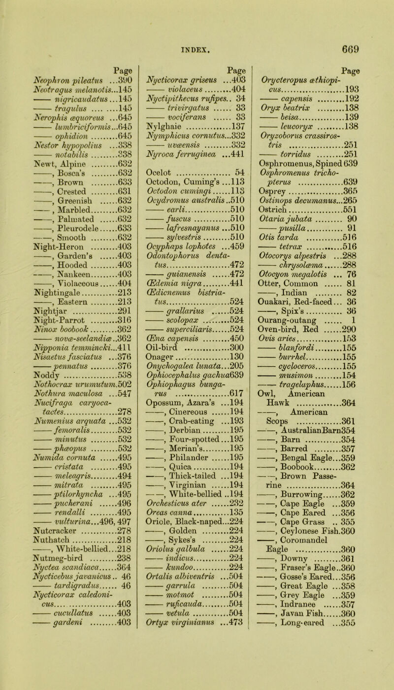 Page Neophron pileatns ...390 Neotragus melanotis. ..145 nigricaudatus... 145 tragidus 145 Nerophis cequoreus ...645 lumbriciformis... 645 opkidion 645 Nestor hypopolius ...338 notabilis 338 Newt, Alpine 632 , Bosca’s 632 , Brown 633 , Crested 631 , Greenish 632 , Marbled 632 , Palmated 632 , Pleurodele 633 , Smooth 632 Night-Heron 403 , Garden’s 403 , Hooded 403 , Nankeen 403 , Violaceous 404 Nightingale 213 , Eastern 213 Nightjar 291 Night-Parrot 316 Ninox boobooJc 362 novce-seelandice.. 362 Nipponia temmincki..A\\ Nisaetusfasciatus ...376 pennatus 376 Noddy 538 Nothocrax urumutum. 502 Nothura maculosa ...547 Nucifraga caryoca- tactes 278 Numenius arquata ...532 femoralis 532 minutus 532 phceopus 532 Numida cornuta 495 crist at a 495 meleagris 494 mitrata 495 ptilorhyncha .. .495 puckerani 496 rendalli 495 vulturina...4QQ, 497 Nutcracker 278 Nuthatch 218 , White-bellied...218 Nutmeg-bird 238 Nyctea scandiaca 364 Nycticebus javanicus.. 46 tardigradus 46 Nycticorax caledoni- cus 403 cucullatus 403 gar deni 403 Page Nycticorax griseus ...403 violaceus 404 Nyctipitkecus rufipes.. 34 trivirgatus 33 vociferans 33 Nylghaie 137 Nymphicus cornutus...2>'32 uvceensis 332 Nyrocafemiginea ...441 Ocelot 54 Octodon, Cuming’s . ..113 Octodon cumingi ..113 Ocydromus australis ..510 earli , ..510 fuscus ..510 lafresnayanus ., ..510 sylvestris ..510 Ocyphaps lopkotes ., ..459 Odontophorus denta- tus ..472 guianensis ..472 CEdemia nigra ,.441 (Edicnernus bistria- tus .524 grallarius .524 scolopax ,.524 superciliaris ..524 (Ena capensis ..450 Oil-bird ..300 Onager .130 Onychogalea lunata.. ..205 Ophiocephalus gachua639 Ophiophagus bunga- rus .617 Opossum, Azara’s .. .194 , Cinereous .194 , Crab-eating .. .193 , Derbian .195 , Four-spotted.. .195 , Merian’s .195 ——, Philander .195 , Quica .194 , Thick-tailed .. .194 , Virginian .194 , White-bellied . ..194 Orchesticus ater .232 Oreas canna .135 Oriole, Black-naped...224 , Golden .224 , Sykes’s .224 Oriolus galbula .224 indicus .224 kundoo .224 Ortalis albiventris .. .504 garrula .504 motmot .504 ruficauda .504 vetula .504 Ortyx virginianus .. .473 Page Oryc ter opus cethiopi- cus 193 capensis 192 Oryx beatrix 138 beisa 139 leucoryx 138 Oryzoborus crassiros- tris 251 torridles 251 Osphromenus, Spined 639 Osphromenus tricho- pterus 639 Osprey 365 Ostinops decumanus...2Qi> Ostrich 551 Otaria jubata 90 pusilla 91 Otis tarda 516 tetrax 516 Otocorys alpestris ...288 chrysolcema 288 Otocyon megalot is ... 76 Otter, Common 81 , Indian 82 Ouakari, Red-faced... 36 , Spix’s 36 Ourang-outang 1 Oven-bird, Red 290 Ovis dries 153 blanfordi 155 burrkel 155 cycloceros 155 musimon 154 tragelaphus 156 Owl, American Hawk 364 , American Scops 361 , AustralianBarn354 , Barn 354 , Barred 357 , Bengal Eagle...359 , Boobook 362 , Brown Passe- rine 364 ——, Burrowing 362 , Cape Eagle ...359 , Cape Eared ...356 , Cape Grass .. 355 , Ceylonese Fish.360 Eagle 360 —, Downy 361 , Fraser’s Eagle..360 , Gosse’s Eared...356 , Great Eagle ...358 , Grey Eagle ...359 , Indranee 357 , Javan Fish 360 , Long-eared ...355