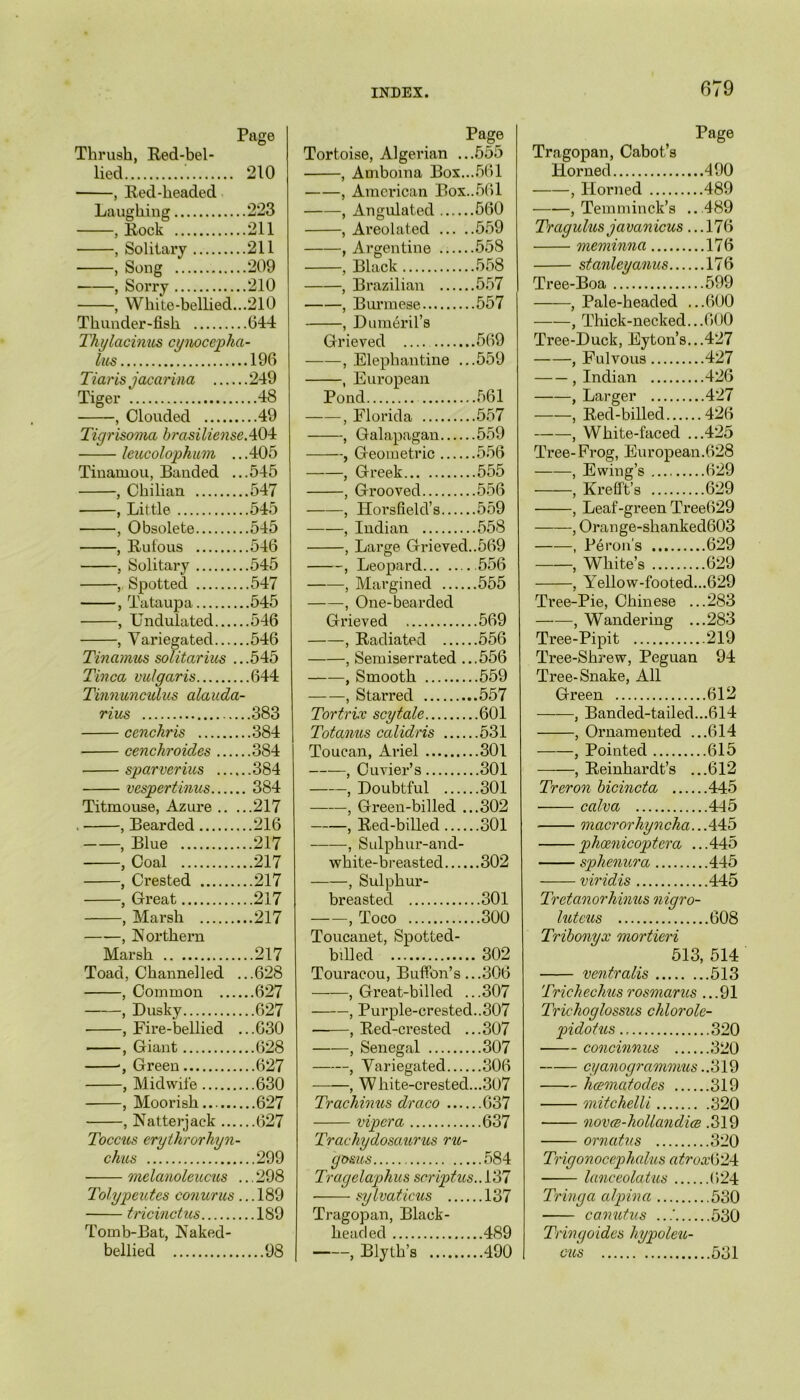 Page Thrush, Red-bel- lied ' 210 nea , Red-headed IU Laughing .223 , Rock .211 . Solitary .211 , Song .209 , Sorry .210 , White-bellied.. .210 Thunder-fish .644 Thylacinus cynocepha lies .196 Tiaris jacarina .249 Tiger ...48 , Clouded ...49 Tiqrisoma brasilienseA04 leucolophum .. .405 Tinamou, Banded .. .545 , Chilian .547 , Little .545 , Obsolete .545 , Rufous .546 , Solitary .545 ,. Spotted .547 , Tataupa .545 , Undulated .546 , Variegated .546 Tinamus solitarius .. .545 Tinea vulgaris .644 Tinnunculus alauda- rius ..383 cenchris ..384 cenchroicles ..384 sparverius ..384 vespertinus 384 Titmouse, Azure .. . ..217 , Bearded ..216 , Blue ..217 , Coal ..217 , Crested ..217 , Great ..217 ——, Marsh ..217 , Northern Marsh ..217 Toad, Channelled . ..628 , Common ..627 , Dusky ..627 , Fire-bellied . ..630 , Giant ..628 ‘, Green ..627 , Midwife ..630 , Moorish ..627 , Natterjack ..627 Toccus erythrorhyn- chus ..299 ■ melanoleucus . ..298 Tolypeutes conurus. ..189 tricinctus ..189 Tomb-Bat, Naked- bellied ....98 Page Tortoise, Algerian ...555 , Amboina Box...561 , American Box..561 , Angulated 560 , Areolated 559 , Argentine 558 , Black 558 , Brazilian 557 , Burmese 557 , Dumeril’s Grieved 569 , Elephantine ...559 , European Pond 561 , Florida 557 , Galapagan 559 , Geometric 556 , Greek 555 , Grooved 556 , Horsfield’s 559 , Indian 558 , Large Grieved..569 , Leopard .556 , Margined 555 , One-bearded Grieved 569 , Radiated 556 , Semiserrated ...556 , Smooth 559 , Starred 557 Tortrix scytale 601 Totanus calidris 531 Toucan, Ariel 301 , Cuvier’s 301 , Doubtful 301 , Green-billed ...302 , Red-billed 301 ——, Sulphur-and- white-b r easted 302 , Sulphur- breasted 301 , Toco 300 Toucanet, Spotted- billed 302 Touracou, Buffon’s ...306 , Great-billed ...307 , Purple-crested..307 , Red-crested ...307 , Senegal 307 , Variegated 306 , White-crested...307 Trachinus draco 637 viper a 637 Trachydosaurus ru- gosus 584 Tragelaphus scriptus.. 137 • sylvaticus 137 Tragopan, Black- headed 489 , Blyth’s 490 Page Tragopan, Cabot’s Horned 490 , Horned 489 , Temminck’s ...489 Tragulus javanicus ... 176 meminna 176 Stanley anus 176 Tree-Boa 599 ——, Pale-headed ...600 , Thick-necked...600 Tree-Duck, Eyton’s...427 , Fulvous 427 , Indian 426 , Larger 427 ——, Red-billed 426 , White-faced ...425 Tree-Frog, European.628 , Ewing’s 629 , Krefft’s 629 , Leaf-green Tree629 , Orange-shanked603 , Peron’s 629 , White’s 629 , Yellow-footed...629 Tree-Pie, Chinese ...283 , Wandering ...283 Tree-Pipit 219 Tree-Shrew, Peguan 94 Tree-Snake, All Green 612 , Banded-tailed...614 , Ornamented ...614 , Pointed 615 , Reinhardt’s ...612 Treron bicincta 445 calva 445 onacrorhyncha.. .445 phoenicoptera ... 445 sphenura 445 viridis 445 Tretanorhinus nigro- hiteus 608 Tribonyx mortieri 513, 514 ventralis 513 Trichechus rosmarus ...91 Trichoglossus chlorole- pidotus 320 concinnus 320 cyanogrammus.. 319 hcematodes 319 mitchelli 320 novce-hollandice .319 ornatus 320 Trigonocephalus atrox&24 lanceolatus 624 Tringa alpina 530 canutus ...’ 530 Tringoides hypoleu- cus 531