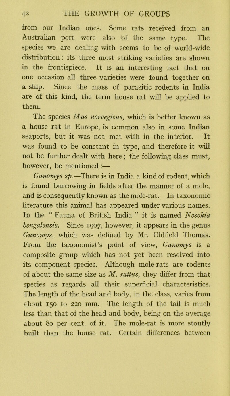 from our Indian ones. Some rats received from an Australian port were also of the same type. The species we are dealing with seems to be of world-wide distribution: its three most striking varieties are shown in the frontispiece. It is an interesting fact that on one occasion all three varieties were found together on a ship. Since the mass of parasitic rodents in India are of this kind, the term house rat will be applied to them. The species Mus norvegicus, which is better known as a house rat in Europe, is common also in some Indian seaports, but it was not met with in the interior. It was found to be constant in type, and therefore it will not be further dealt with here; the following class must, however, be mentioned :— Gunomys sp.—There is in India a kind of rodent, which is found burrowing in fields after the manner of a mole, and is consequently known as the mole-rat. In taxonomic literature this animal has appeared under various names. In the “ Fauna of British India ” it is named Nesokia bengalensis. Since 1907, however, it appears in the genus Gunomys, which was defined by Mr. Oldfield Thomas. From the taxonomist’s point of view, Gunomys is a composite group which has not yet been resolved into its component species. Although mole-rats are rodents of about the same size as M. rattus, they differ from that species as regards all their superficial characteristics. The length of the head and body, in the class, varies from about 150 to 220 mm. The length of the tail is much less than that of the head and body, being on the average about 80 per cent, of it. The mole-rat is more stoutly built than the house rat. Certain differences between