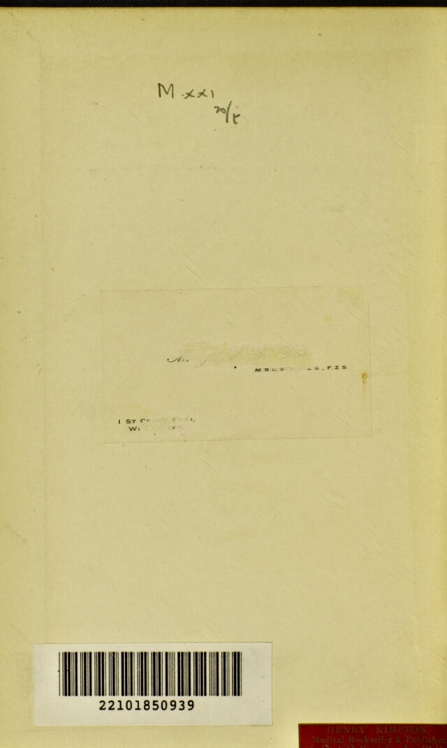 digitised image 2