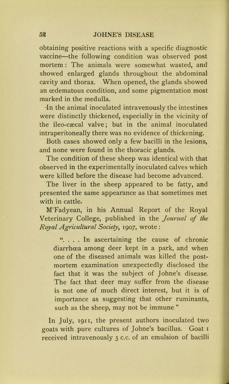 obtaining positive reactions with a specific diagnostic vaccine—the following condition was observed post mortem : The animals were somewhat wasted, and showed enlarged glands throughout the abdominal cavity and thorax. When opened, the glands showed an cedematous condition, and some pigmentation most marked in the medulla. •In the animal inoculated intravenously the intestines were distinctly thickened, especially in the vicinity of the ileo-caecal valve; but in the animal inoculated intraperitoneally there was no evidence of thickening. Both cases showed only a few bacilli in the lesions, and none were found in the thoracic glands. The condition of these sheep was identical with that observed in the experimentally inoculated calves which were killed before the disease had become advanced. The liver in the sheep appeared to be fatty, and presented the same appearance as that sometimes met with in cattle. M’Fadyean, in his Annual Report of the Royal Veterinary College, published in the Journal of the Royal Agricultural Society, 1907, wrote : “. . . . In ascertaining the cause of chronic diarrhoea among deer kept in a park, and when one of the diseased animals was killed the post- mortem examination unexpectedly disclosed the fact that it was the subject of Johne’s disease. The fact that deer may suffer from the disease is not one of much direct interest, but it is of importance as suggesting that other ruminants, such as the sheep, may not be immune.” In July, 1911, the present authors inoculated two goats with.pure cultures of Johne’s bacillus. Goat 1 received intravenously 3 c.c. of an emulsion of bacilli
