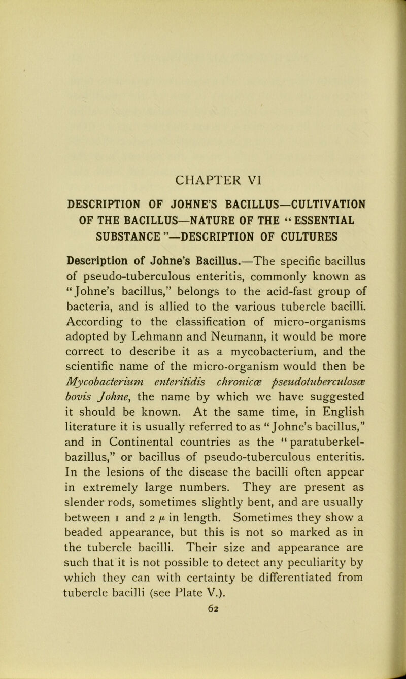 CHAPTER VI DESCRIPTION OF JOHNE’S BACILLUS—CULTIVATION OF THE BACILLUS—NATURE OF THE “ ESSENTIAL SUBSTANCE DESCRIPTION OF CULTURES Description of Johne’s Bacillus.—The specific bacillus of pseudo-tuberculous enteritis, commonly known as “Johne’s bacillus,” belongs to the acid-fast group of bacteria, and is allied to the various tubercle bacilli. According to the classification of micro-organisms adopted by Lehmann and Neumann, it would be more correct to describe it as a mycobacterium, and the scientific name of the micro-organism would then be Mycobacterium enteritidis chronicce pseudotuberculosce bovis Johne, the name by which we have suggested it should be known. At the same time, in English literature it is usually referred to as “Johne’s bacillus,” and in Continental countries as the “ paratuberkel- bazillus,” or bacillus of pseudo-tuberculous enteritis. In the lesions of the disease the bacilli often appear in extremely large numbers. They are present as slender rods, sometimes slightly bent, and are usually between i and 2 ^ in length. Sometimes they show a beaded appearance, but this is not so marked as in the tubercle bacilli. Their size and appearance are such that it is not possible to detect any peculiarity by which they can with certainty be differentiated from tubercle bacilli (see Plate V.).