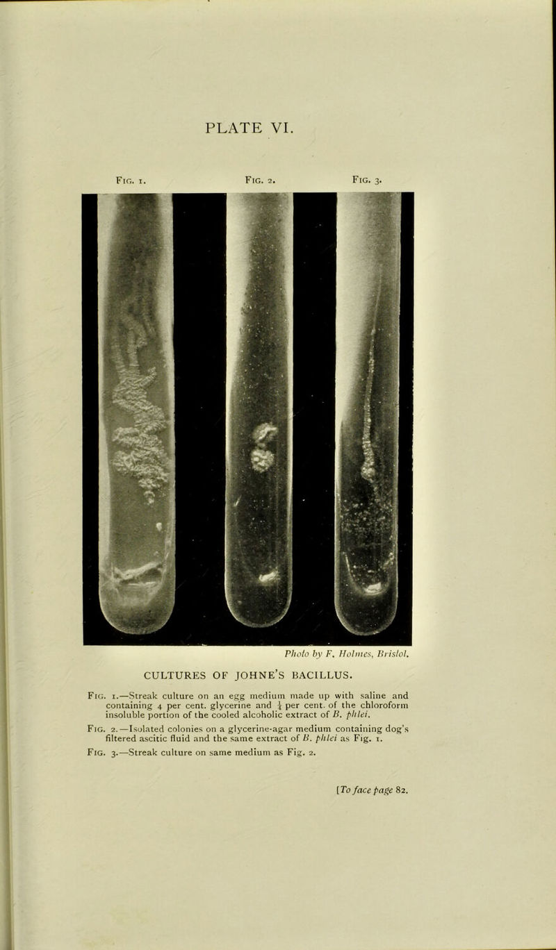 PLATE VI. Fig. i. Fig. 2. Fig. 3. Photo by F. Holmes, Bristol. CULTURES OF JOHNE’S BACILLUS. Fig. i.—Streak culture on an egg medium made up with saline and containing 4 per cent, glycerine and * per cent, of the chloroform insoluble portion of the cooled alcoholic extract of B. phlei. Fig. 2.—Isolated colonies on a glycerine-agar medium containing dog’s filtered ascitic fluid and the same extract of B. phlei as Fig. 1. Fig. 3.—Streak culture on same medium as Fig. 2. [To face page 82.